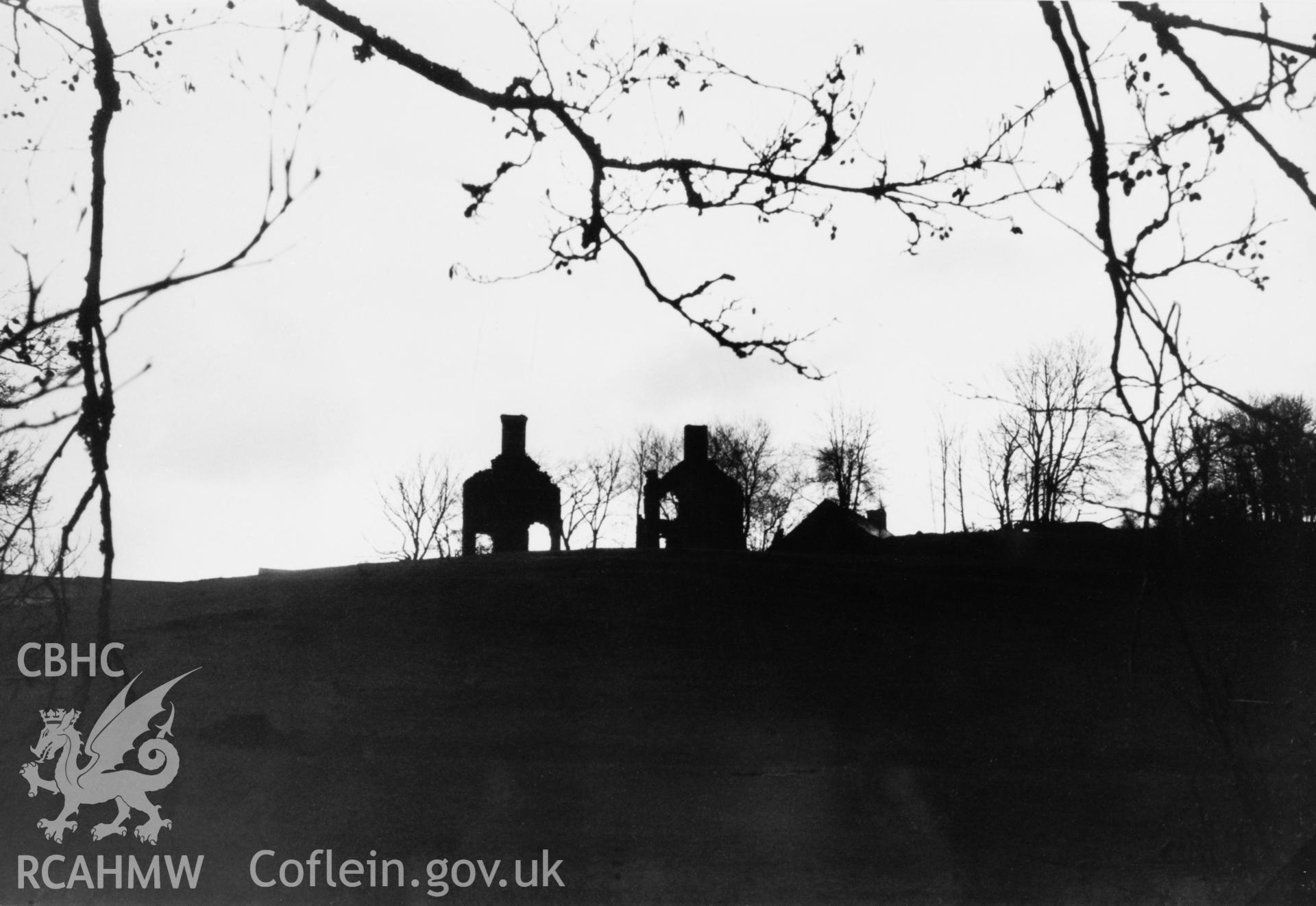 Copy of b/w photo of Llwynwormwood, copied from original loaned by Thomas Lloyd. Copy negative held.