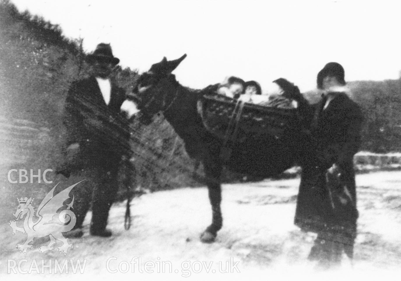 Group portrait of Mr Attilio Conti and his wife Maria on a visit home to Bardi, Italy. The children rising in the pannier baskets on the donkey are Mr Angelo Conti and his sister.