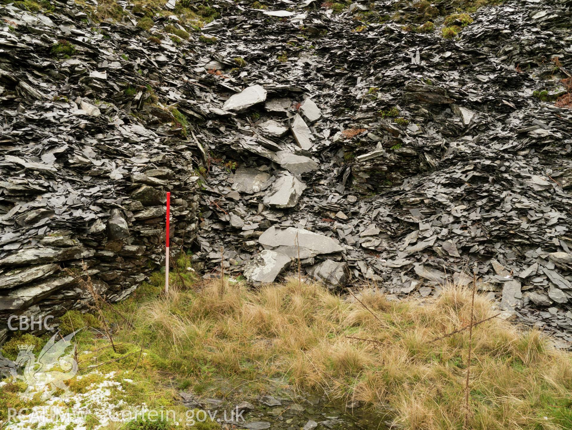 view looking W to buried mine entrance.