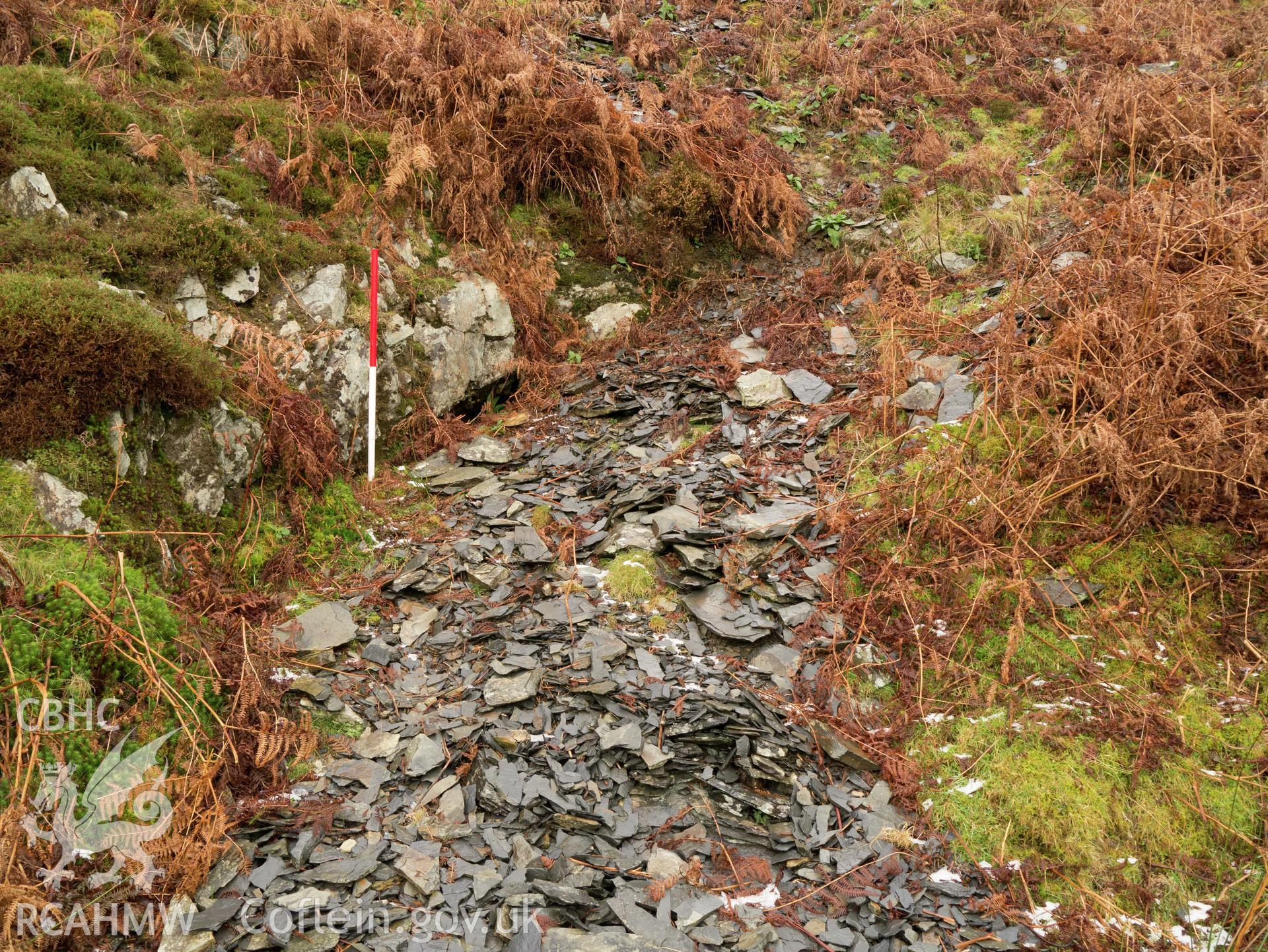 view looking W to buried mine entrance.
