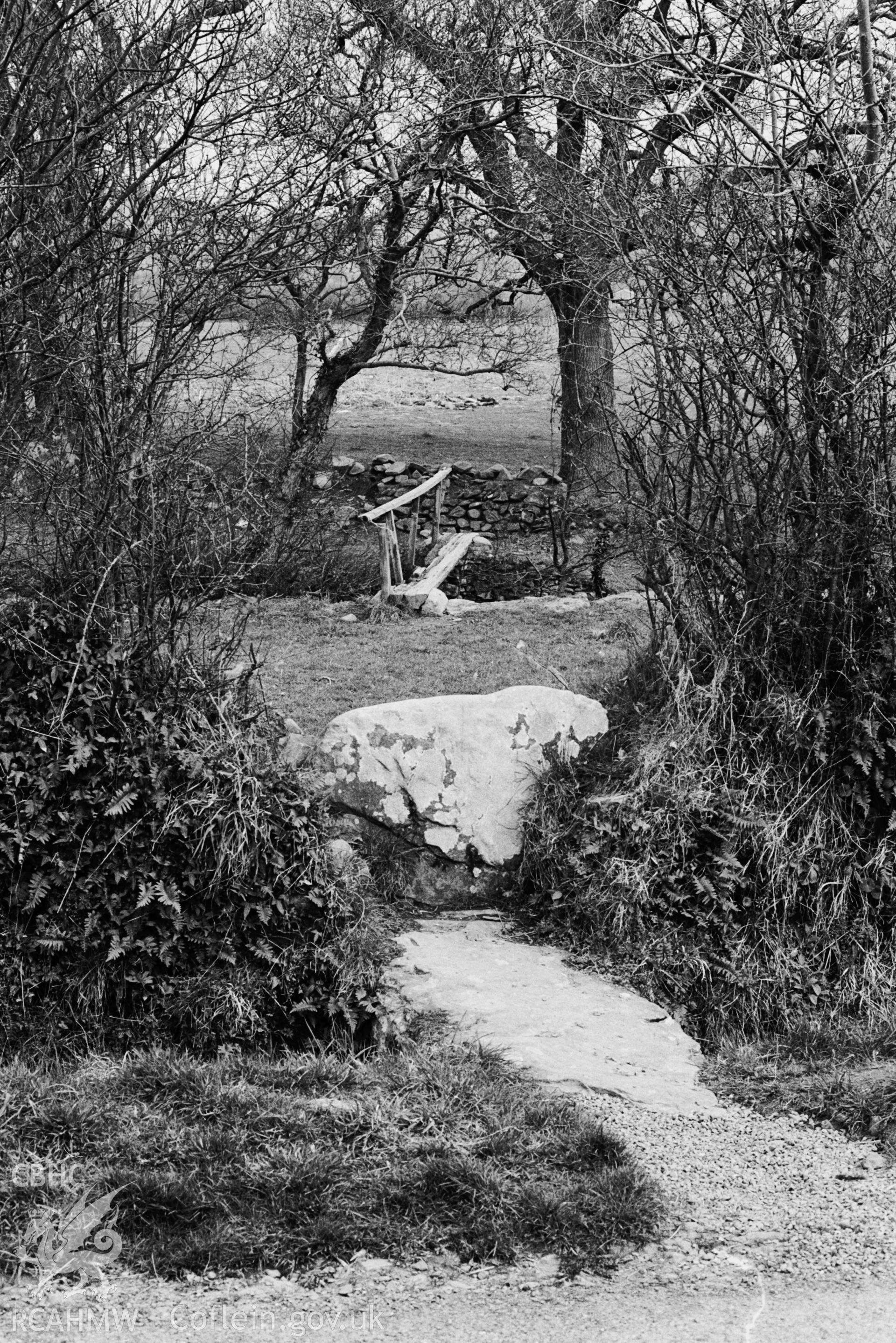 Black and white photograph of the stepping bridge at Felin Ganol, Llanrhystud, produced by Arthur Chater, 1968, part of a larger collection which has not yet been fully catalogued.