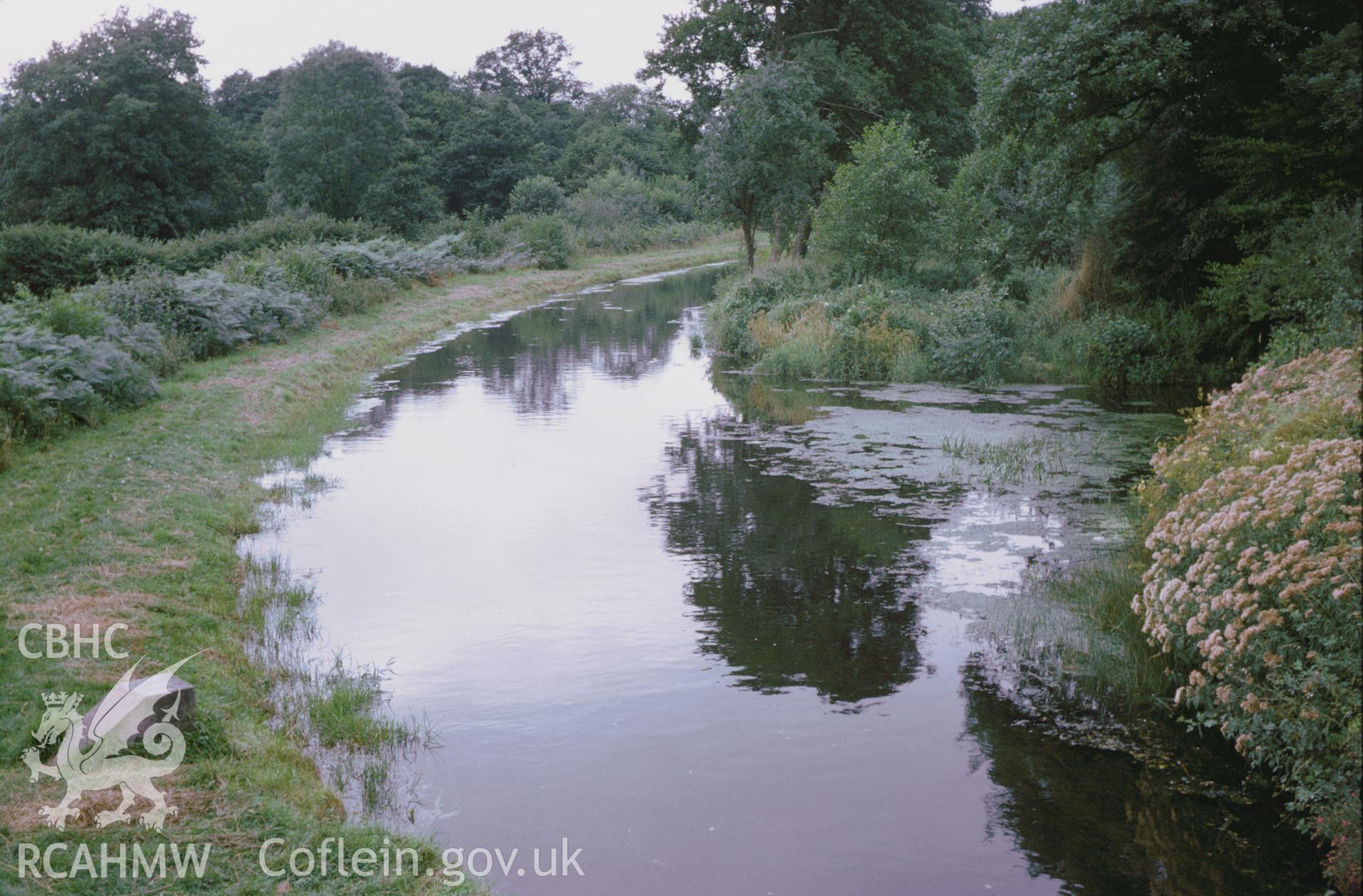 Colour 35mm slide of Brecon Abergavenny Canal, looking west from Storehouse Bridge, Llanfrynach, by Dylan Roberts.