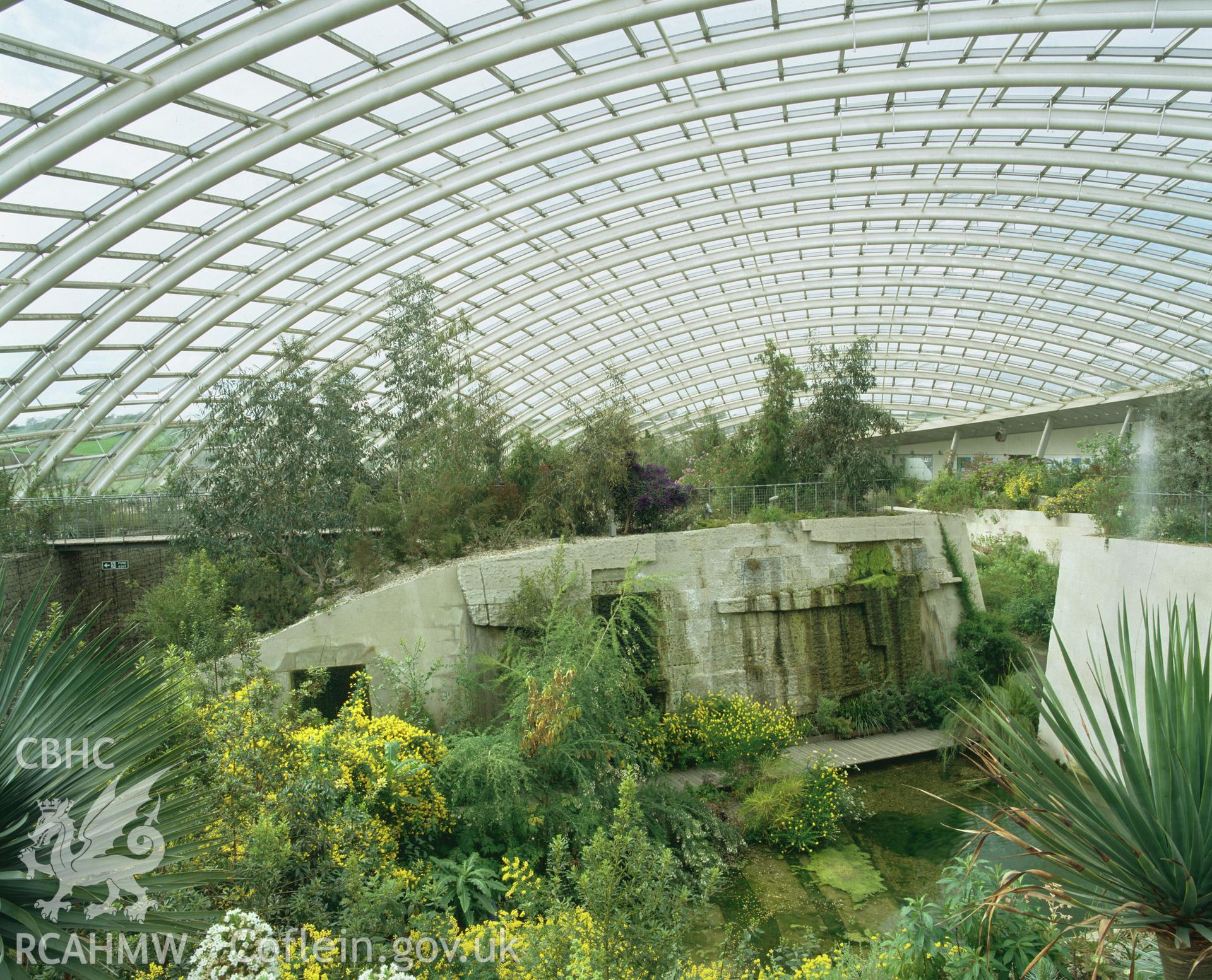 Colour transparency showing interior view of the glass house at the National Botanic Gardens, Llanarthne, produced by Iain Wright, June 2004