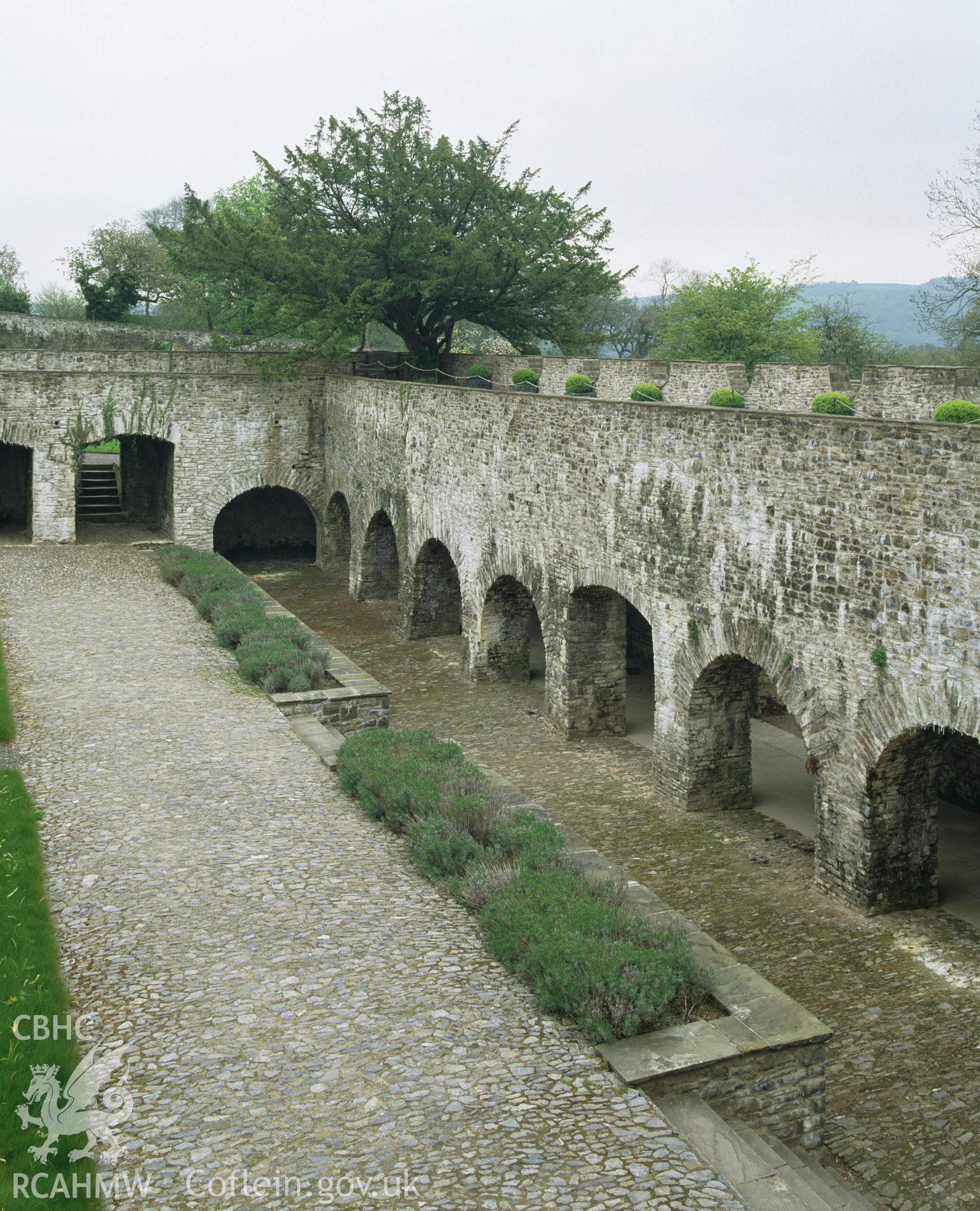 Colour transparency showing the cloister wall at Aberglasney, Llansgathen, produced by Iain Wright, June 2004.