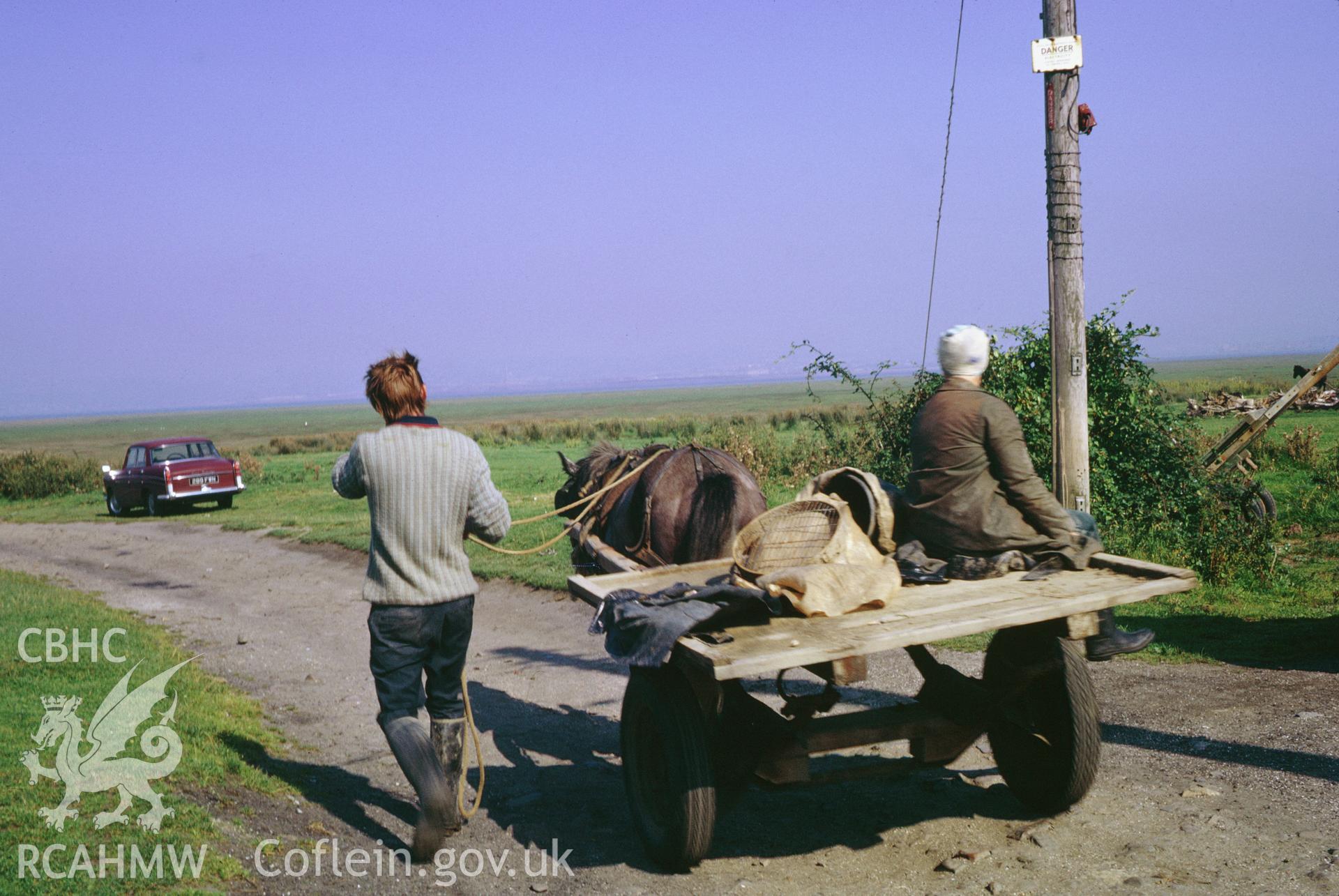 35mm colour slide showing cockle pickers at Penclawdd, Gower, Glamorgan,  by Dylan Roberts.