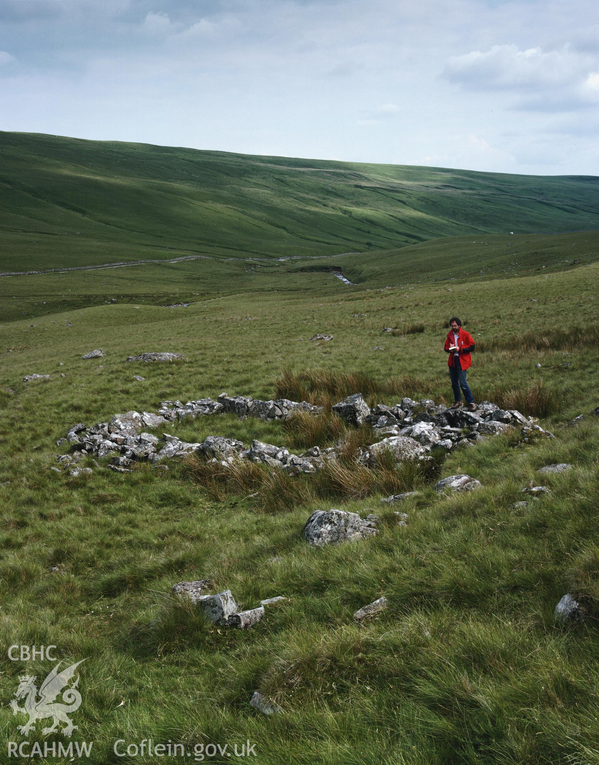 RCAHMW colour transparency showing view of Moel Feity Hut Circle, Llywel, taken by I.N. Wright, 1981.