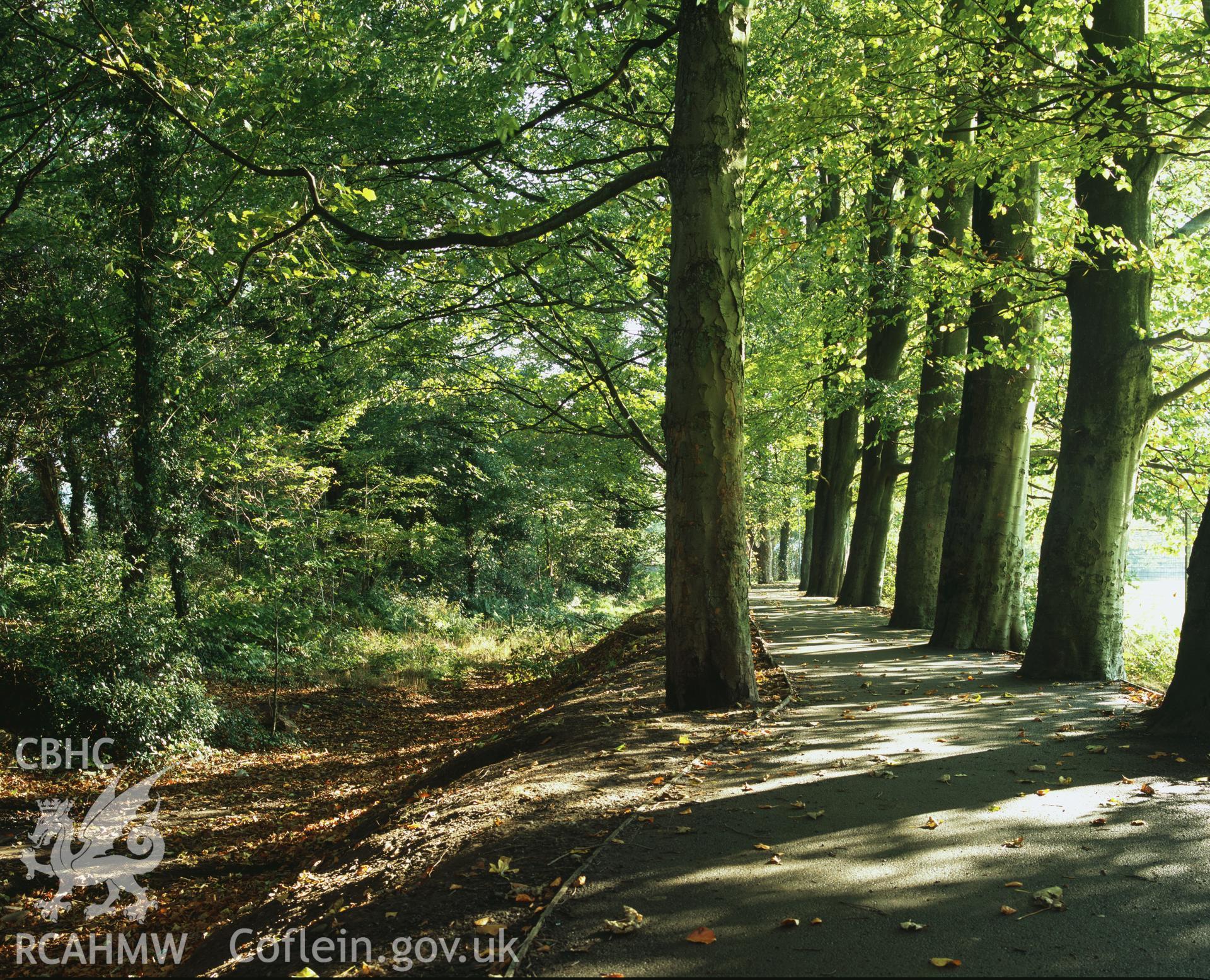 RCAHMW colour transparency showing view of the Ynysgedwyn Branch of the Swansea Canal, taken by I.N. Wright, October 2005