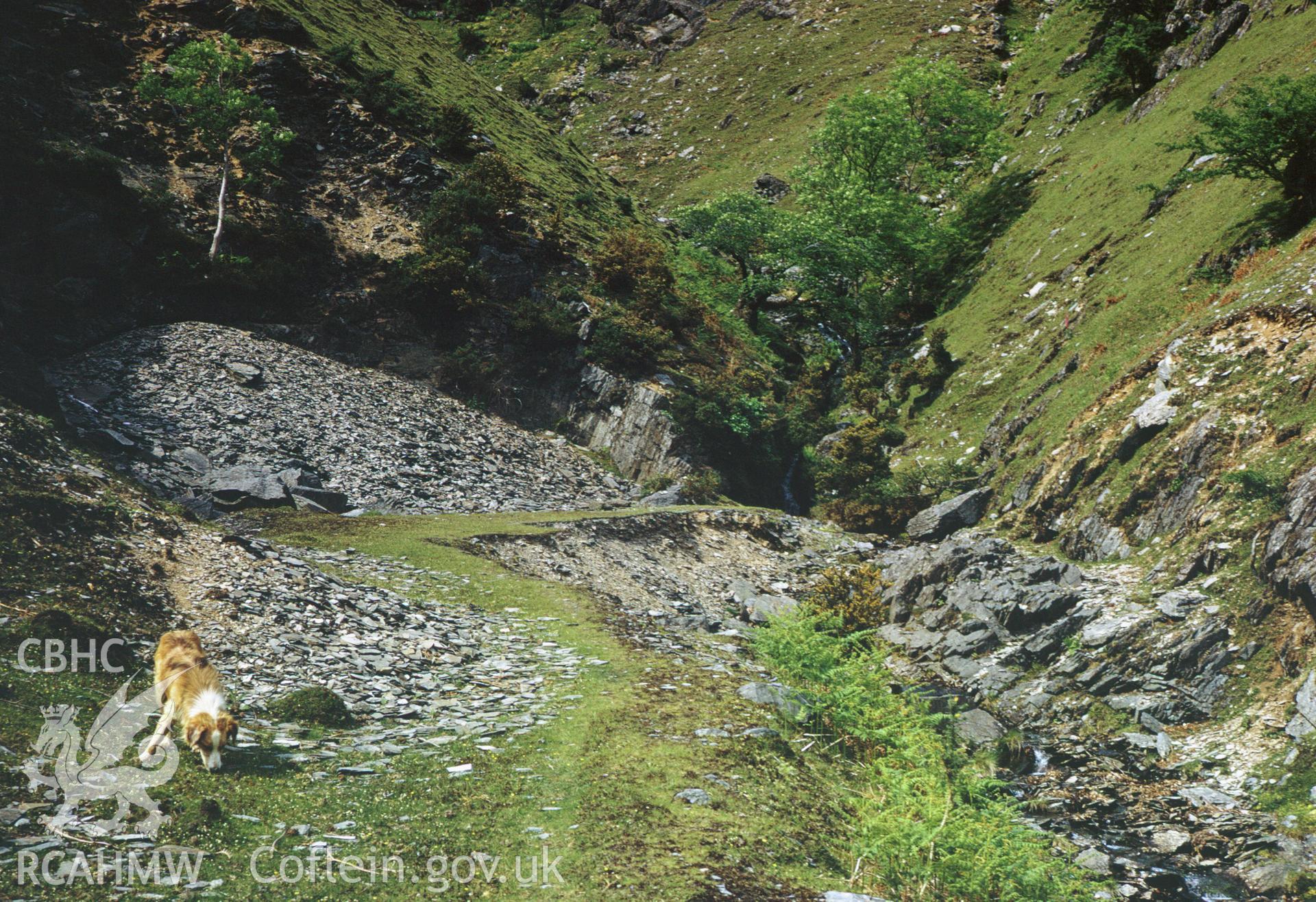 35mm colour slide of Neuadd Fawr Level, Near Cilycwm, Carmarthenshire by Dylan Roberts.