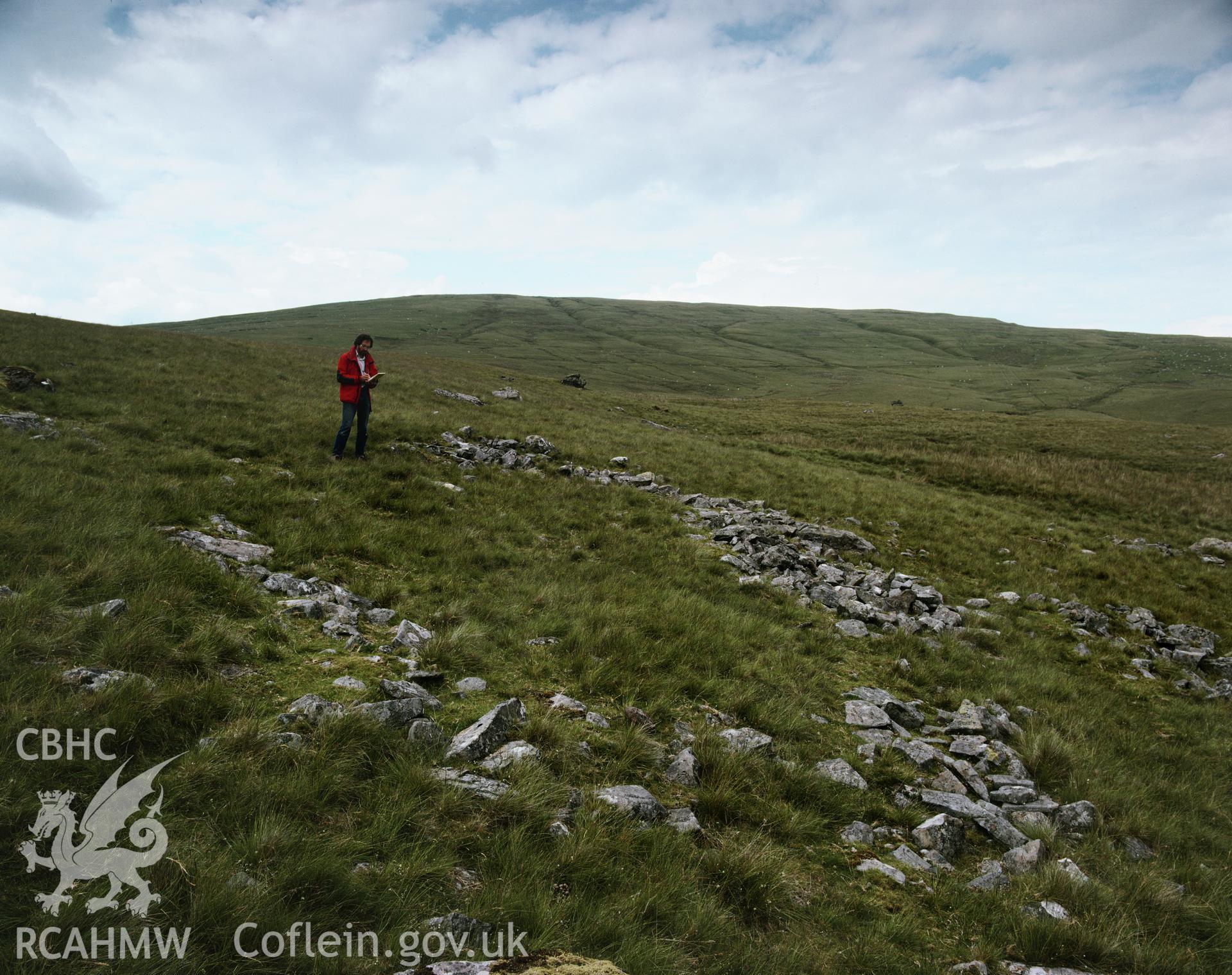 RCAHMW colour transparency showing view of Moel Feity Hut Circle, Llywel, taken by I.N. Wright, 1981.