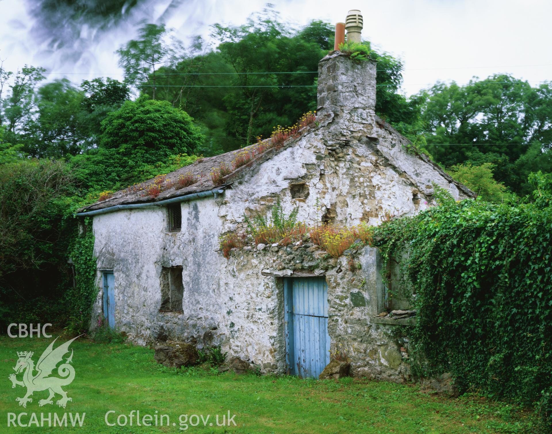 RCAHMW colour transparency showing exterior view of Tyddyn Isaf, Cwm Cadnant, taken by I.N. Wright, 2003