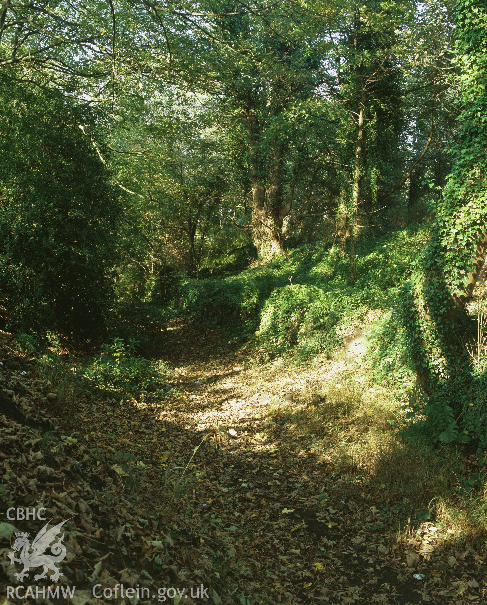 RCAHMW colour transparency showing view of the Ynysgedwyn Branch of the Swansea Canal, taken by I.N. Wright, October 2005