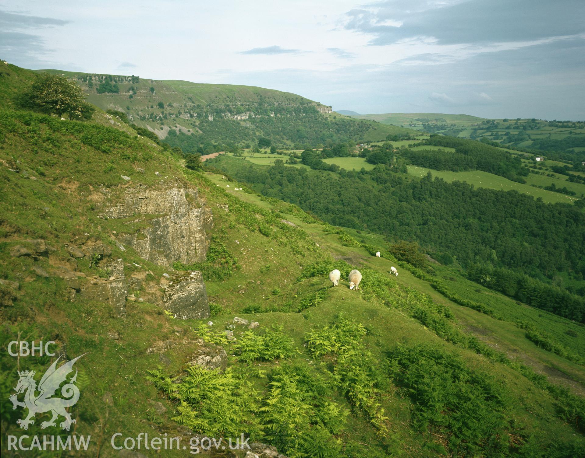 RCAHMW colour transparency of a general view of Coed Pentwyn defended enclosure.
