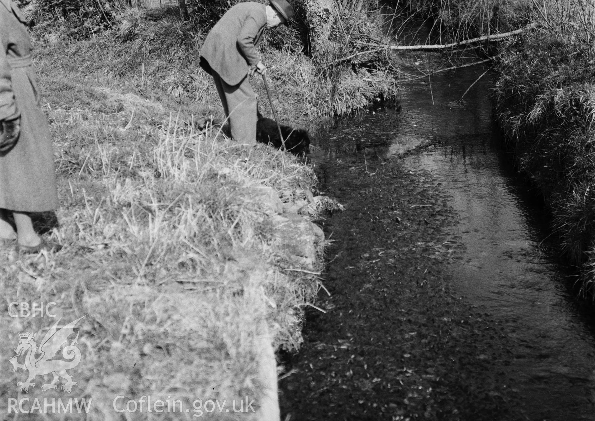 Black and white photograph of the stepping bridge at Felin Ganol, Llanrhystud, produced by Arthur Chater, 1968, part of a larger collection which has not yet been fully catalogued.