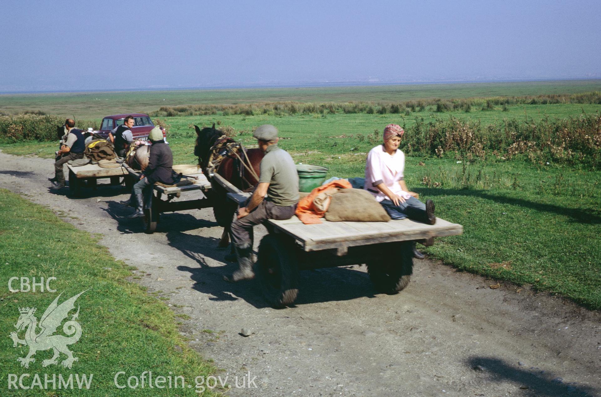 35mm colour slide showing cockle pickers at Penclawdd, Gower, Glamorgan,  by Dylan Roberts.