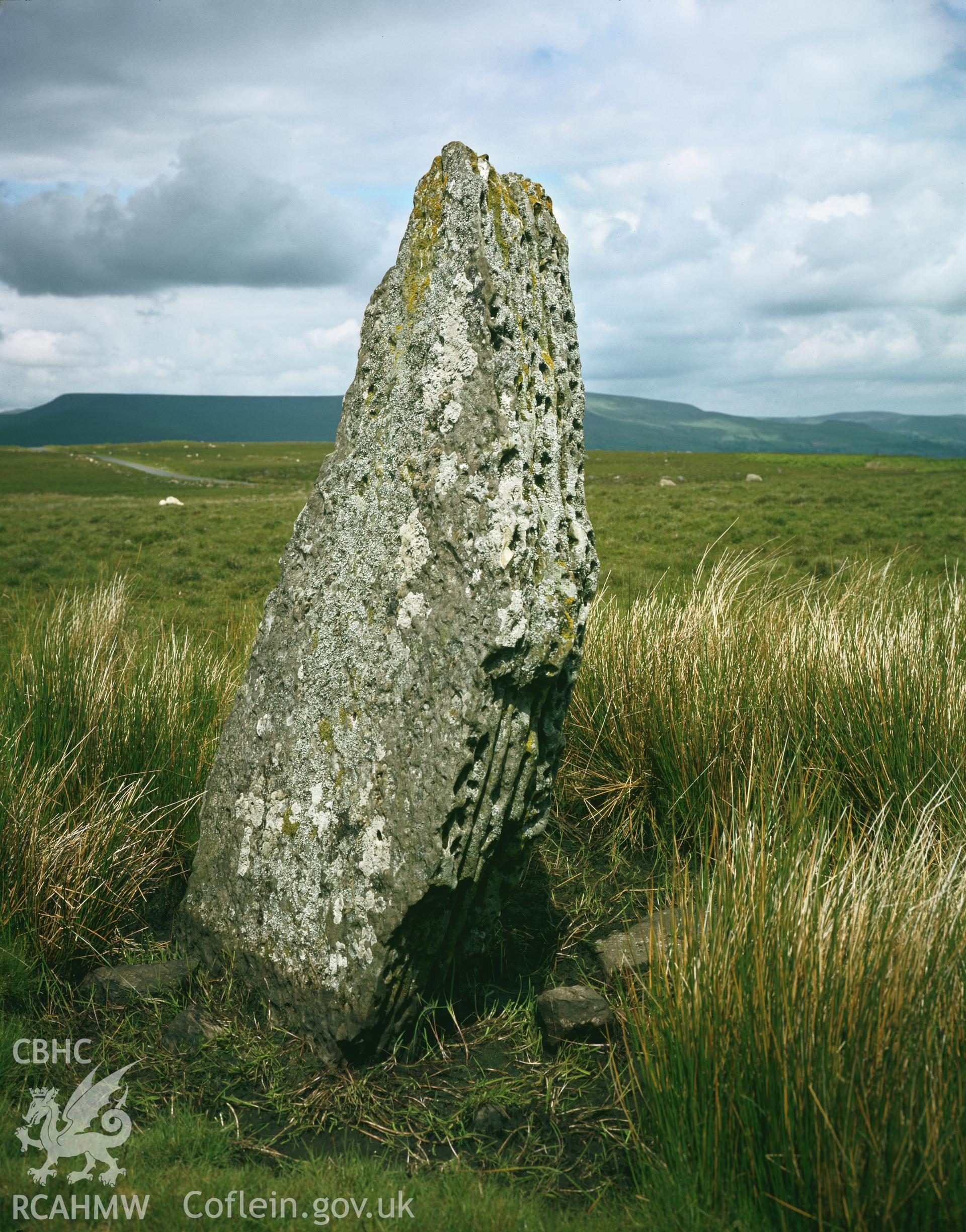 RCAHMW colour transparency showing  Carreg Waun Llech Standing Stone, taken by RCAHMW 1981