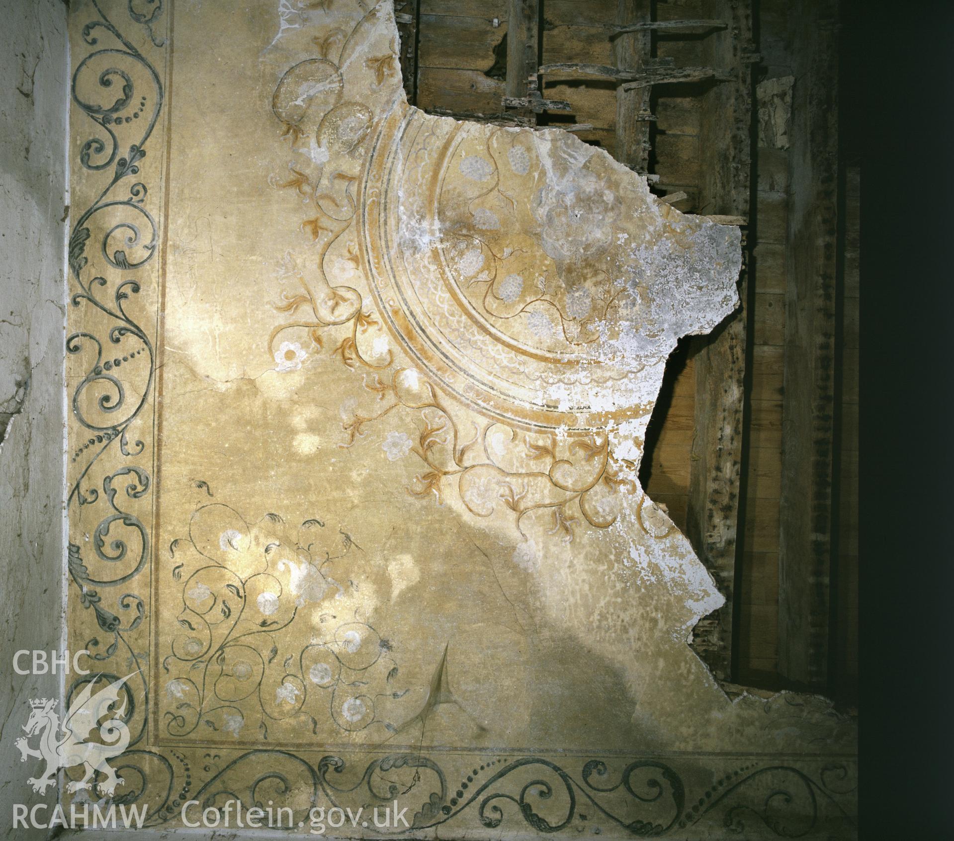 RCAHMW colour transparency showing the Adam-style ceiling at Glanrhyd, Clynderwen, taken by I.N. Wright, circa 1982