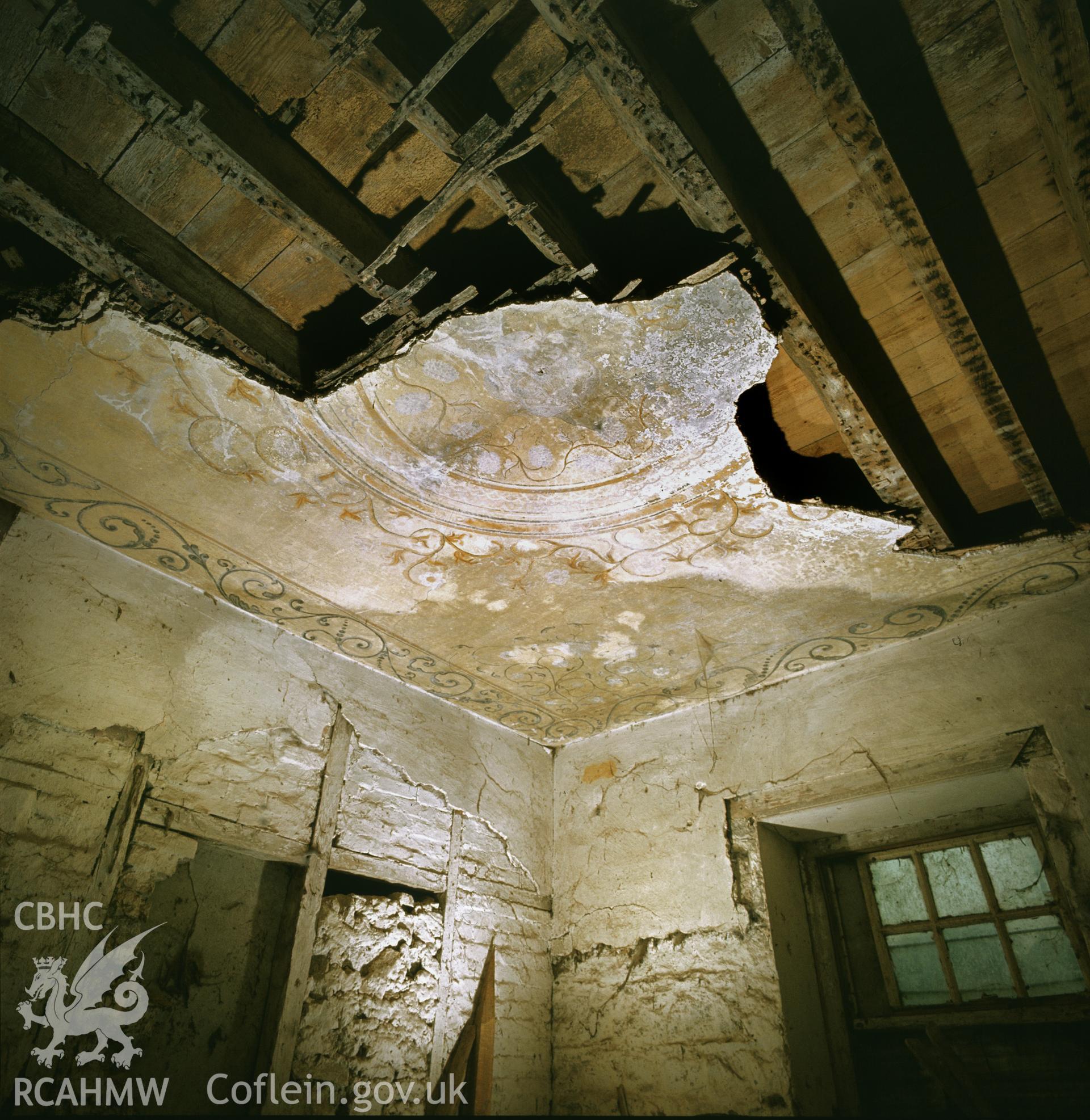 RCAHMW colour transparency showing the Adam-style ceiling at Glanrhyd, Clynderwen, taken by I.N. Wright, circa 1982