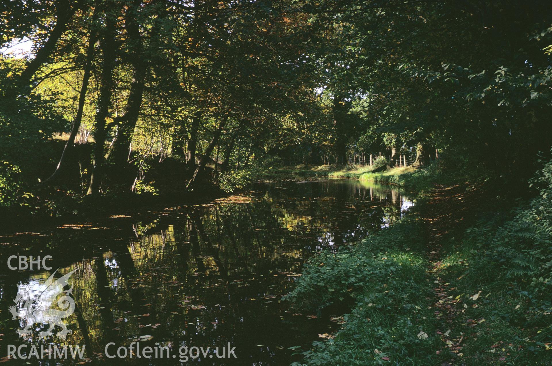 35mm colour slide showing unidentified stretch of Brecon and  Abergavenny Canal, Breconshire by Dylan Roberts.