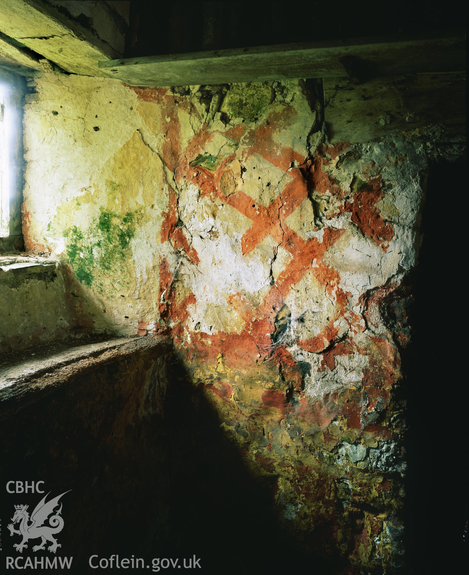 RCAHMW colour transparency showing detail of wallpainting at Coedweddus Farmhouse, Llangadog, taken by I.N. Wright, 2003