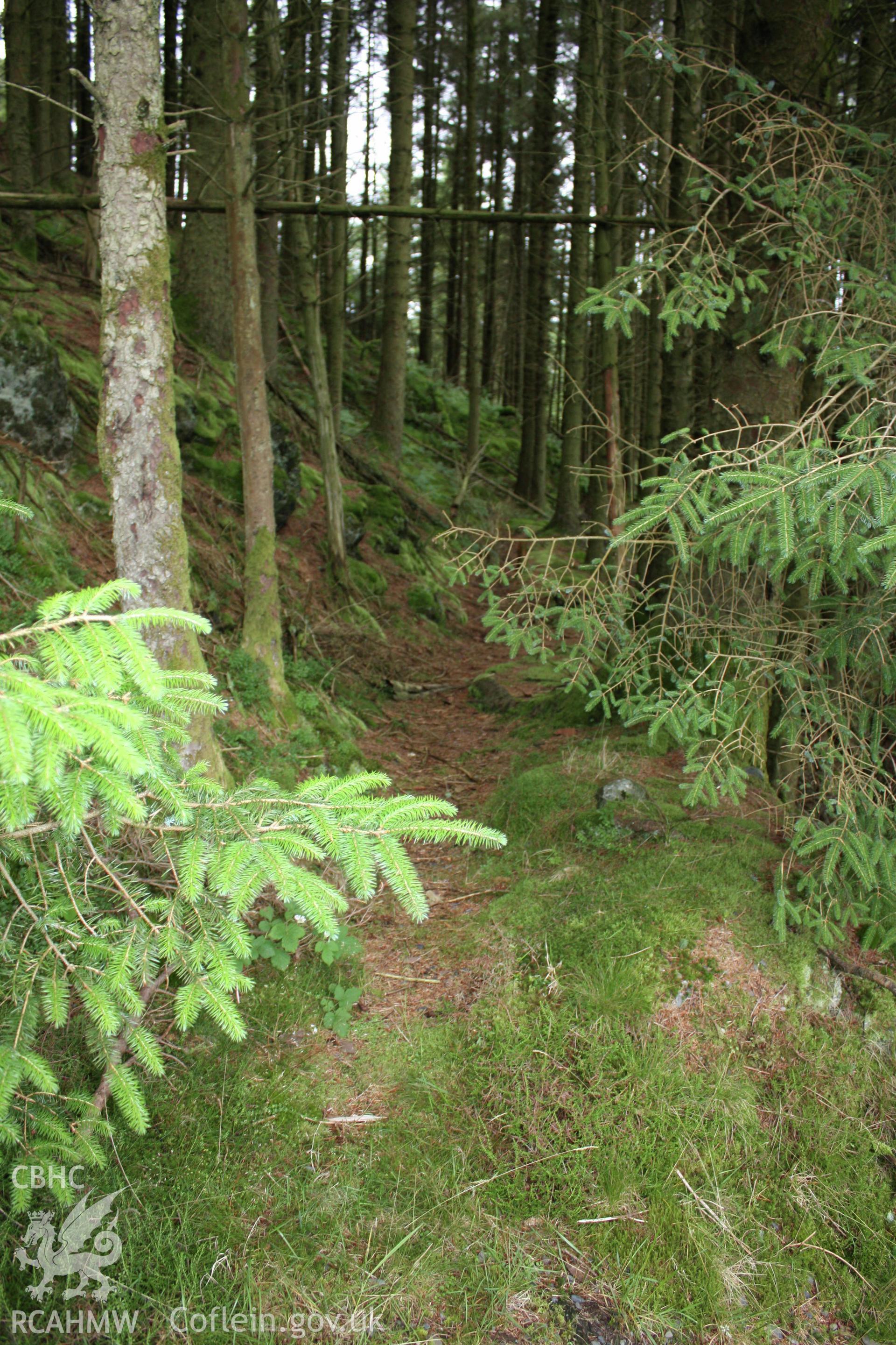 Ystrad Einion metal mine.  Looking north along the leat.