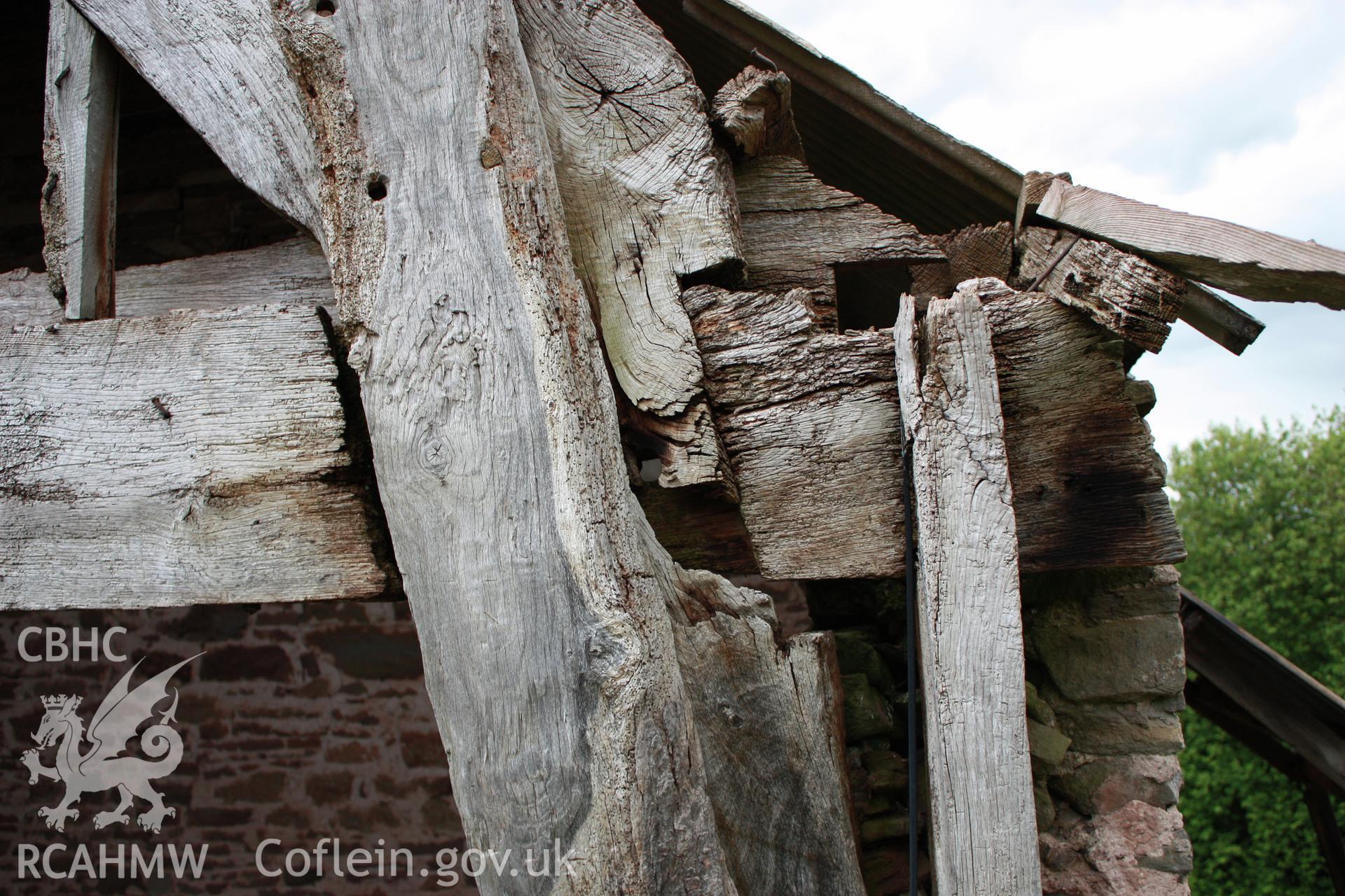 Interior of Barn range showing the lower end cruck truss, detail.