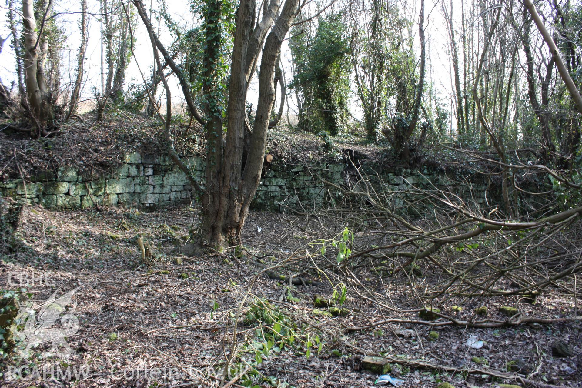 Remains of a stone built wall, associated with the coke kilns.