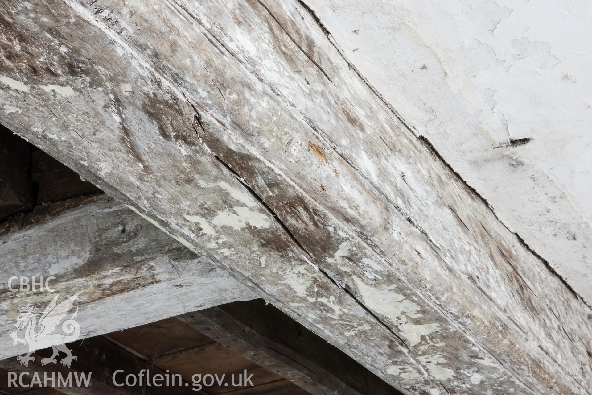 Main chamber, detail of ceiling timbers.