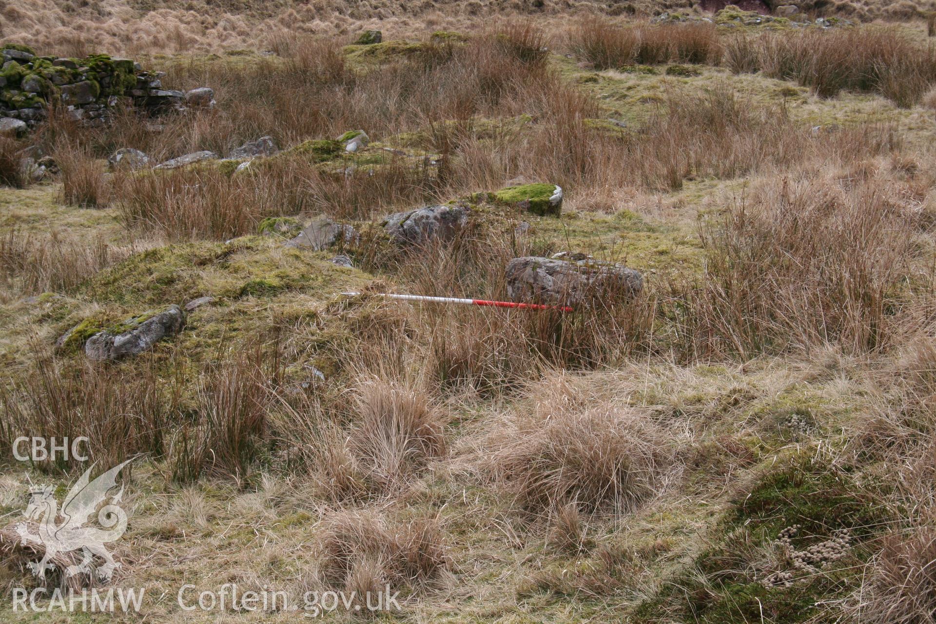 Structure seen from the west; 1m scale across 'entrance'.