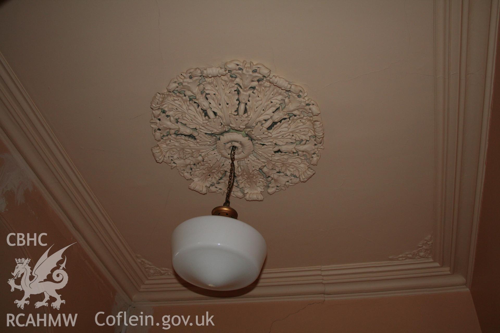 Internal, ceiling plaster detail