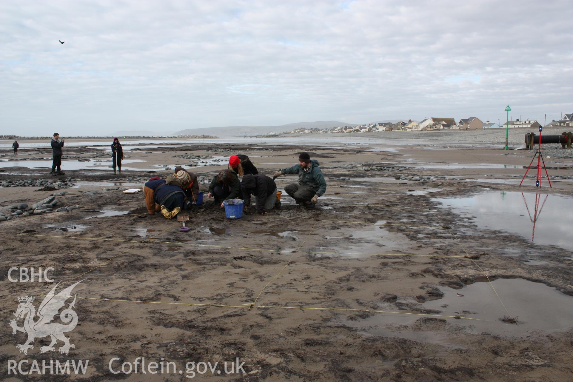 Borth submerged forest (between RNLI lifeboat station and upper Borth), looking north towards Ynyslas. Showing peat exposure partially excavated by Lampeter university, with excavation grid
