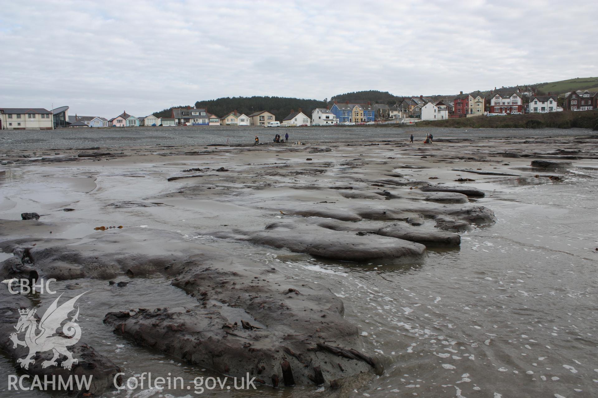Borth submerged forest (between RNLI lifeboat station and upper Borth), looking southeast towards High Street and Clarach road. Showing western extent of peat exposures at low tide.