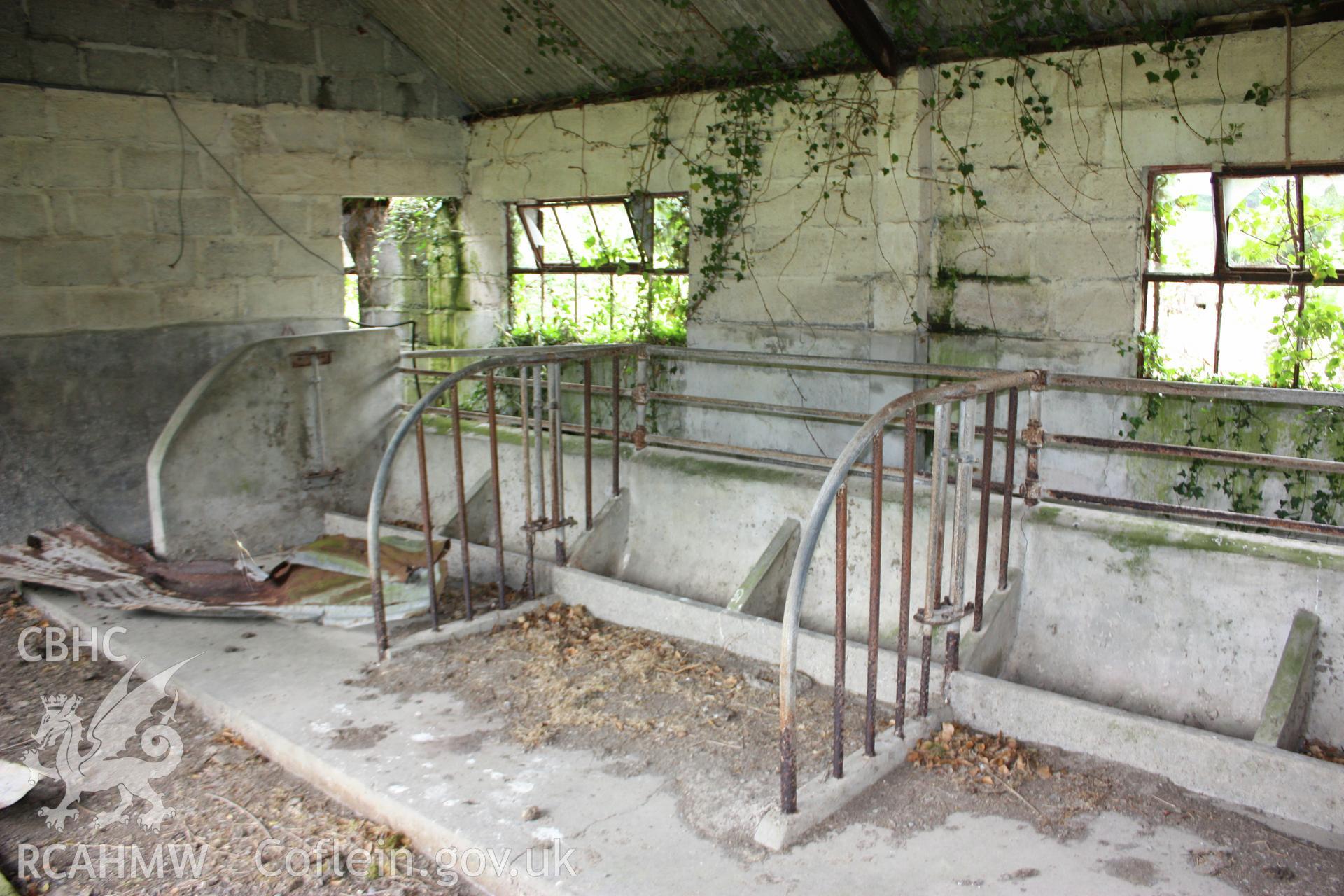 Pengeulan cow-house. Interior, manger and stalls.