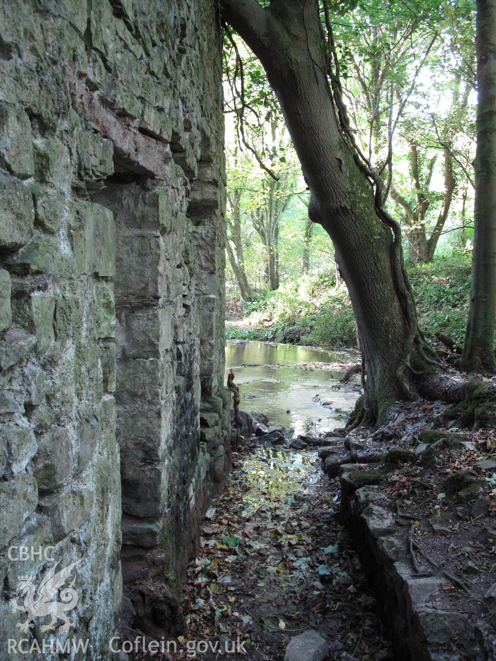 Waterwheel pit and north gable wall, Blaen-y-cwm Corn Mill, taken by Brian Malaws on 20 October 2010.