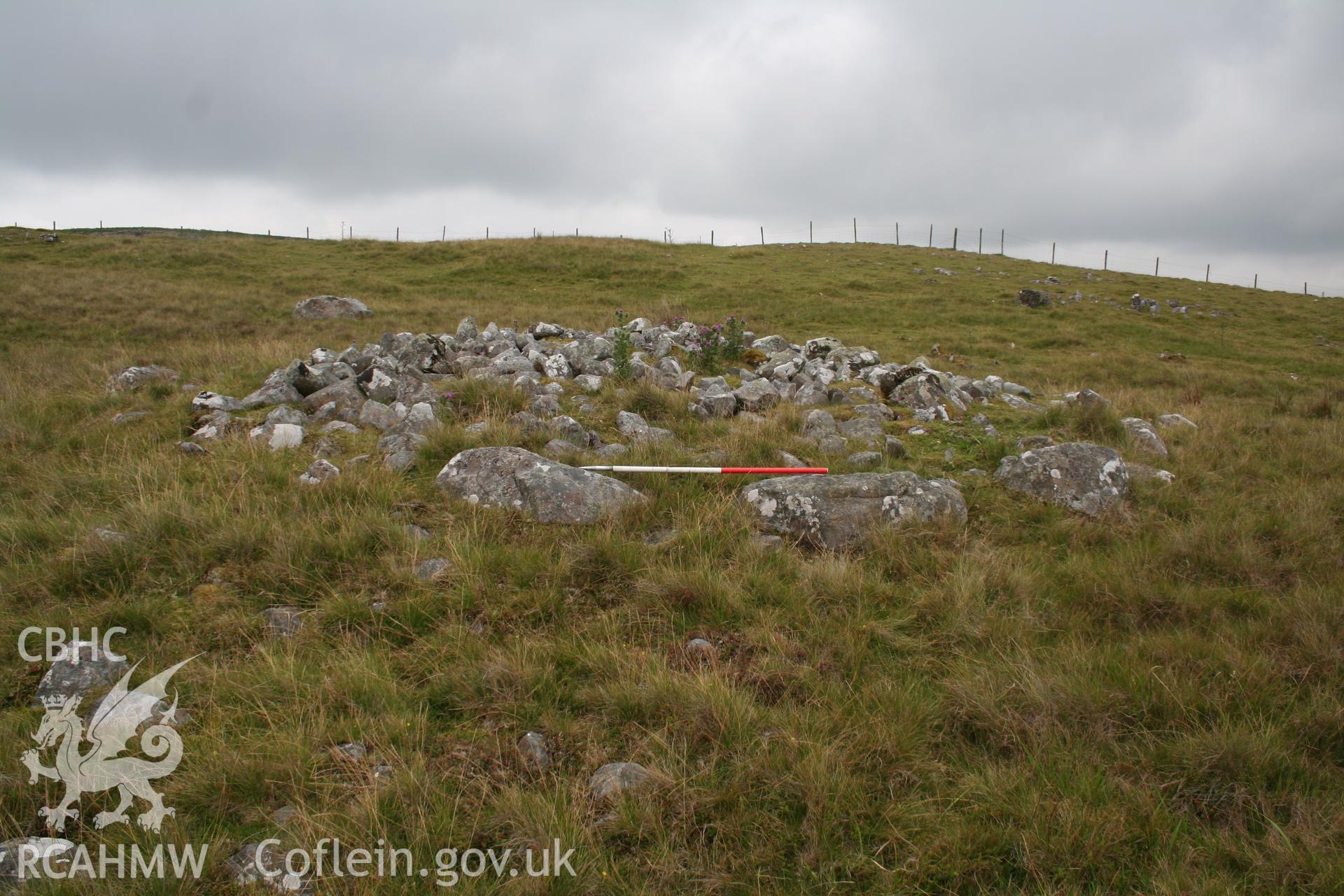 View from the north-west; 1m scale.