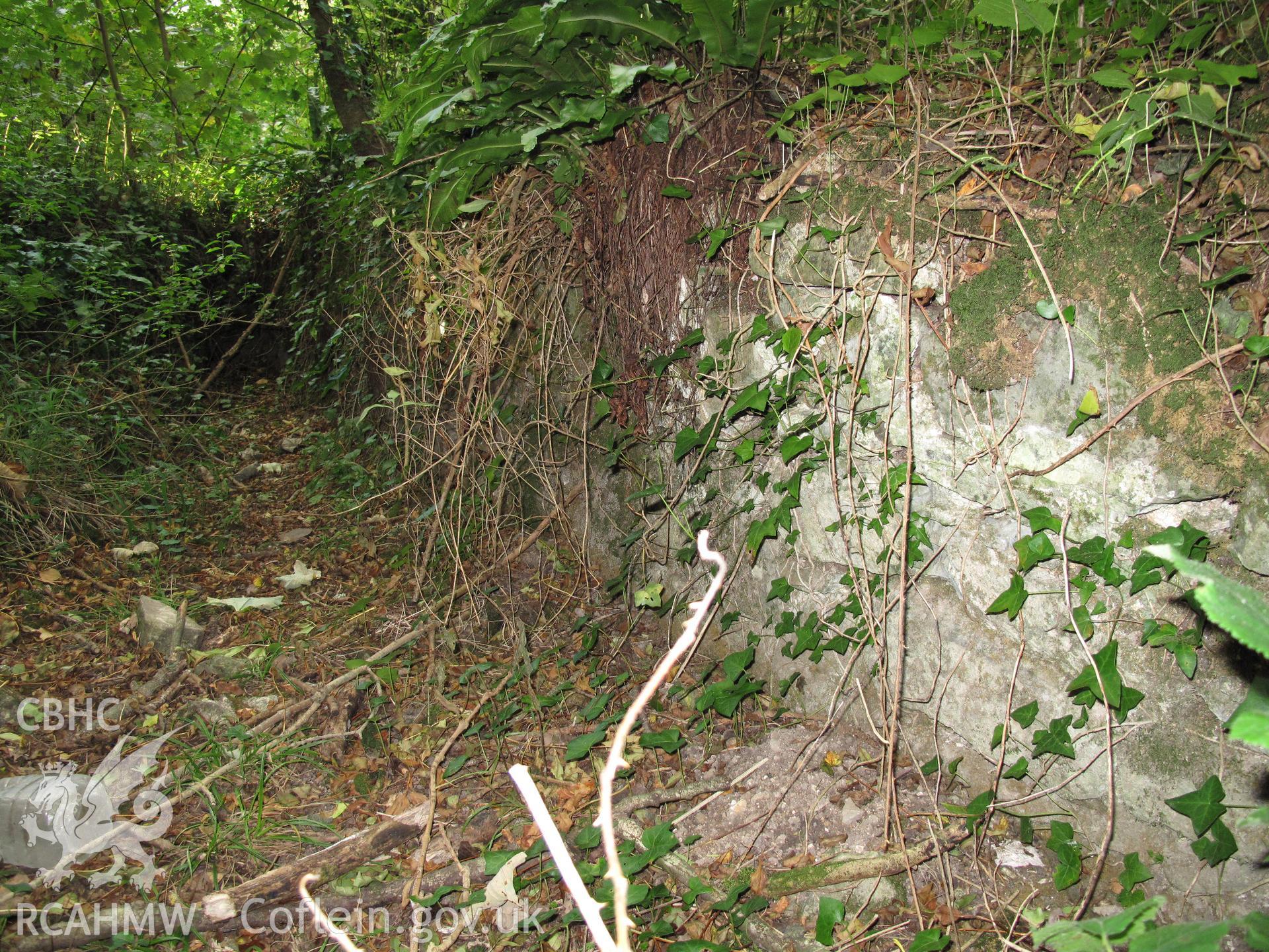 Rock-cut leat east of Blaen-y-cwm Corn Mill, taken by Brian Malaws on 20 October 2010.