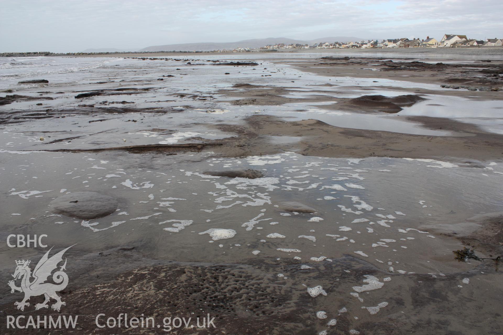 Borth submerged forest (between RNLI lifeboat station and upper Borth), viewed from southern end of beach looking north towards Ynyslas. Showing extent of exposure area