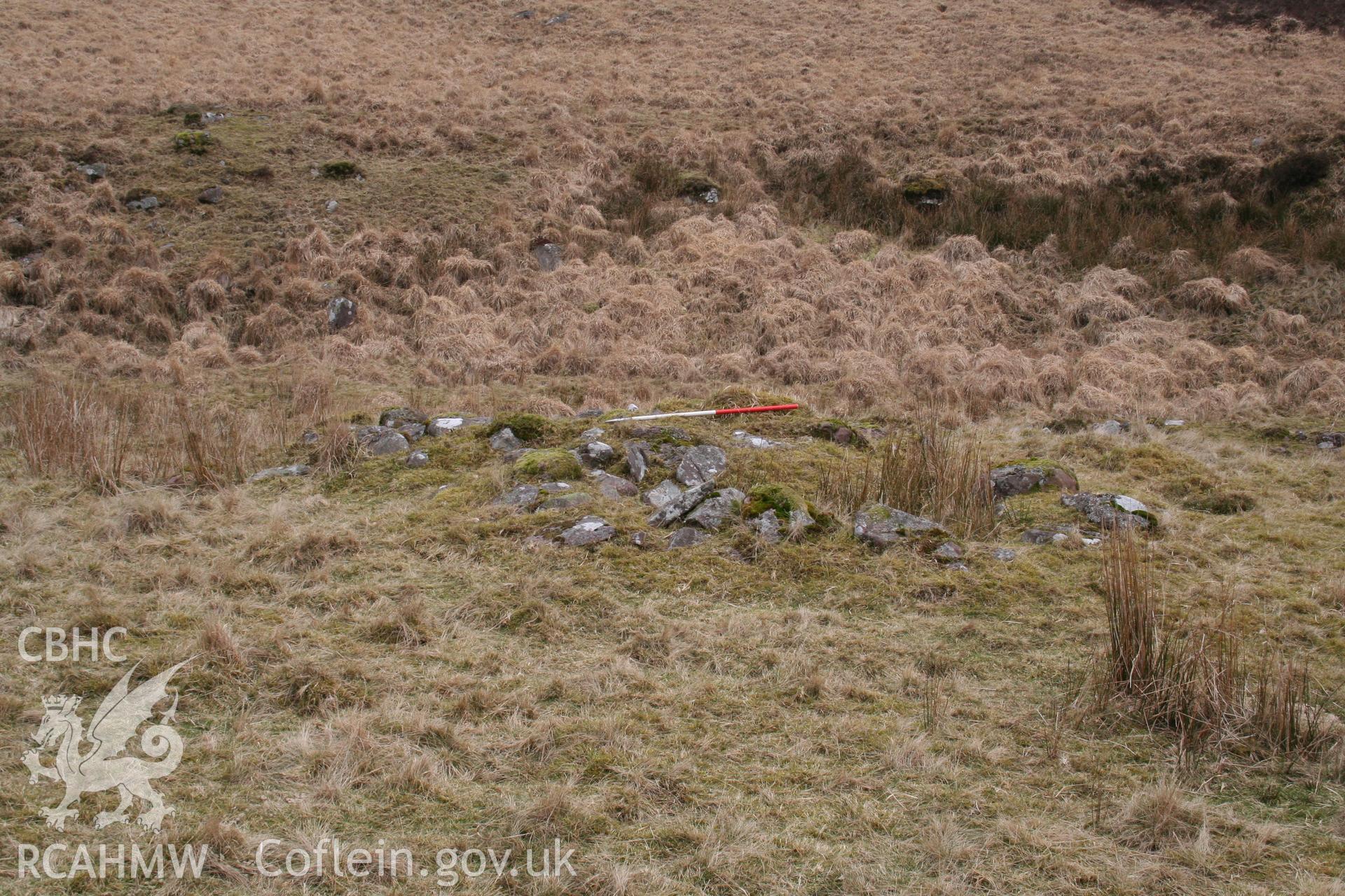 Structure seen from the south-west; 1m scale.