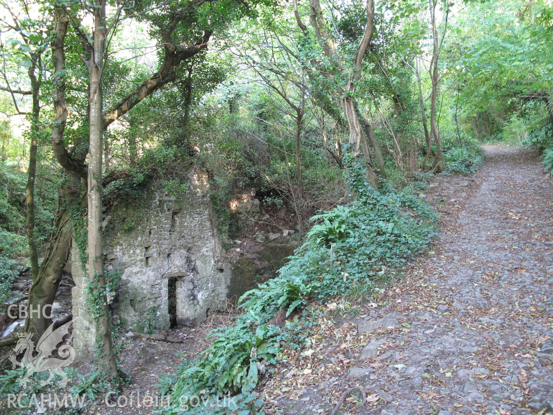 Blaen-y-cwm Corn Mill from the west, taken by Brian Malaws on 20 October 2010.