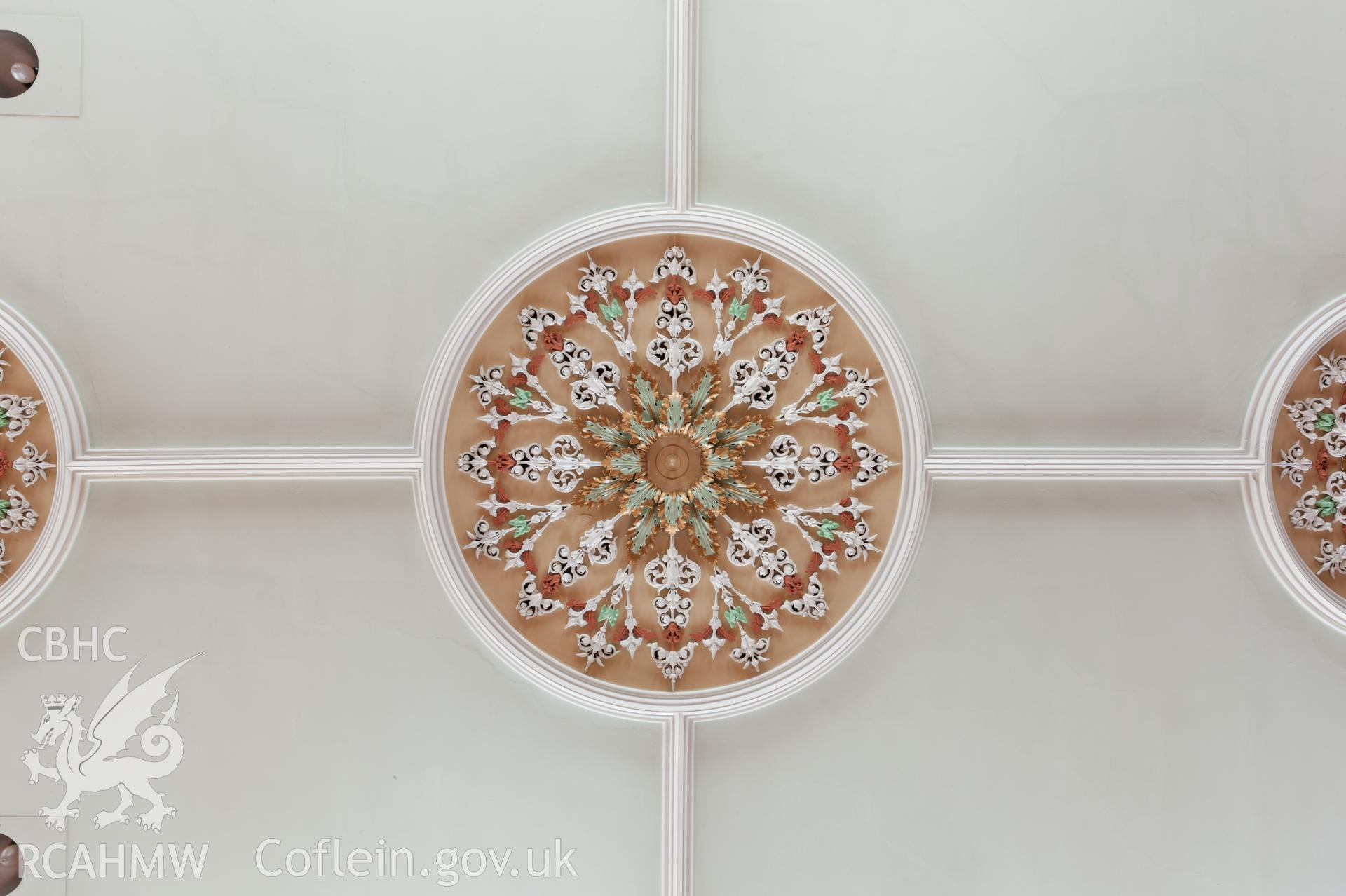 Detail of ceiling rose