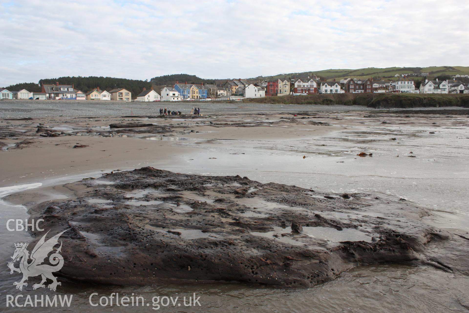 Borth submerged forest (between RNLI lifeboat station and upper Borth), looking southwest towards Clarach road. Showing close-up of peat exposure (Lampeter University at work on partially excavated peat exposure, centre background)