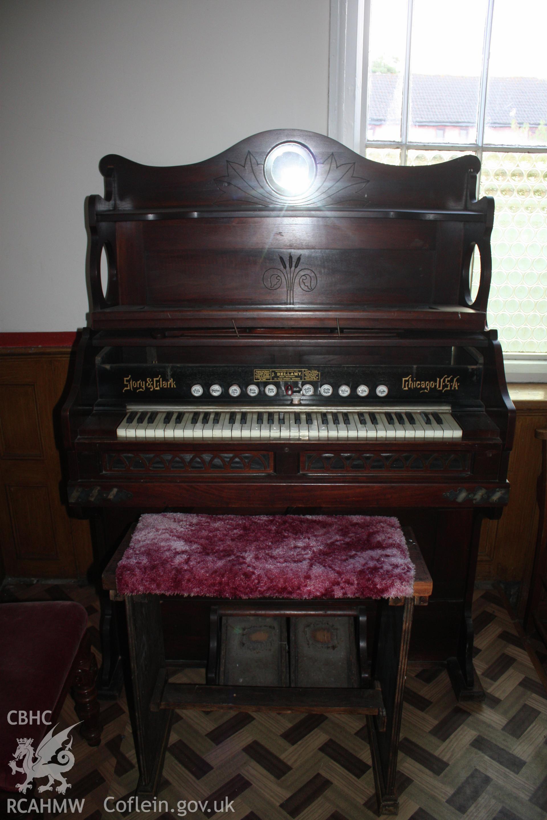 Other, organ