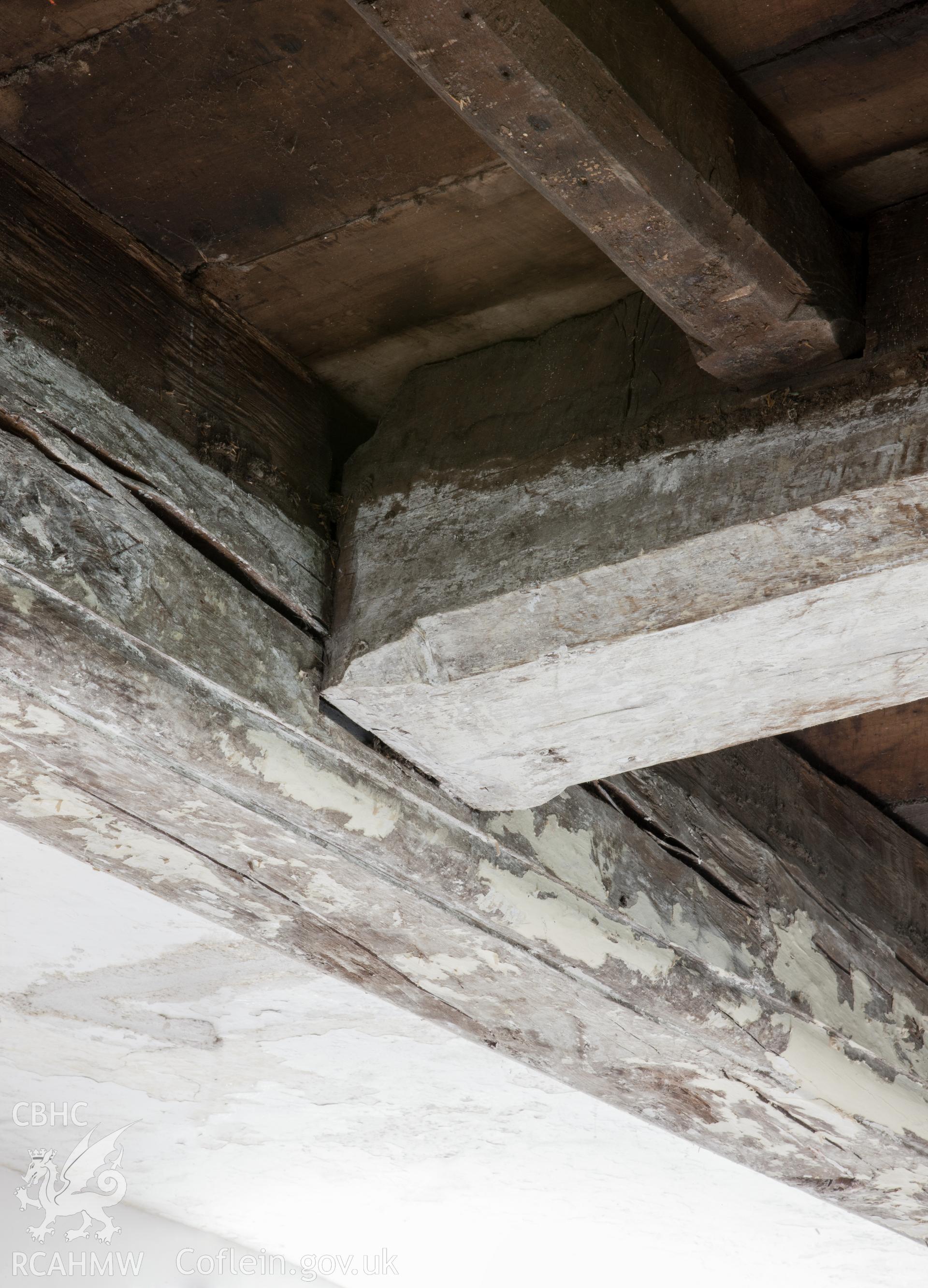 Main chamber, detail of ceiling timbers.