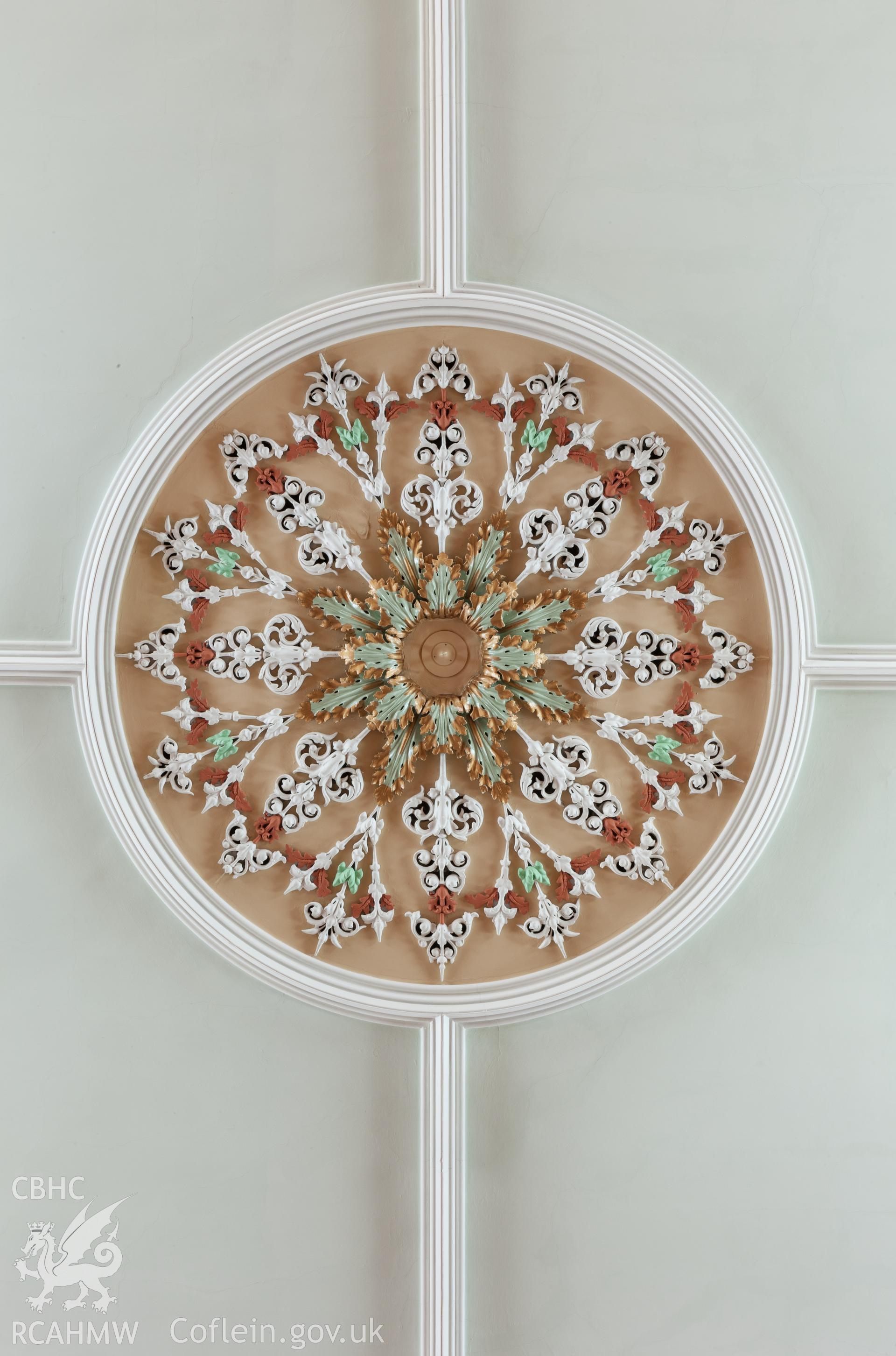 Detail of ceiling rose
