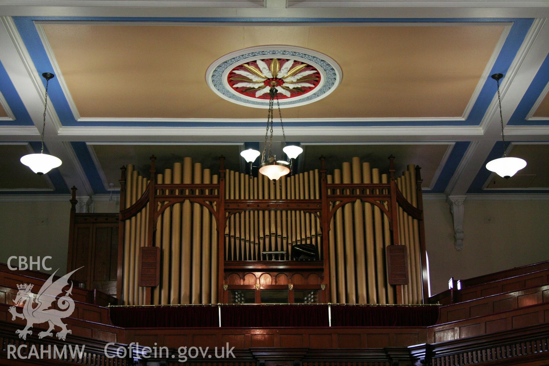 Internal, view of organ