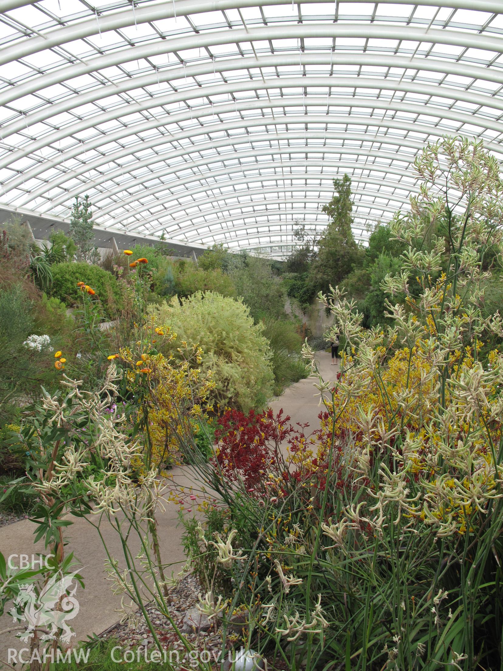 Interior view of the Great Glasshouse, National Botanic Garden of Wales.