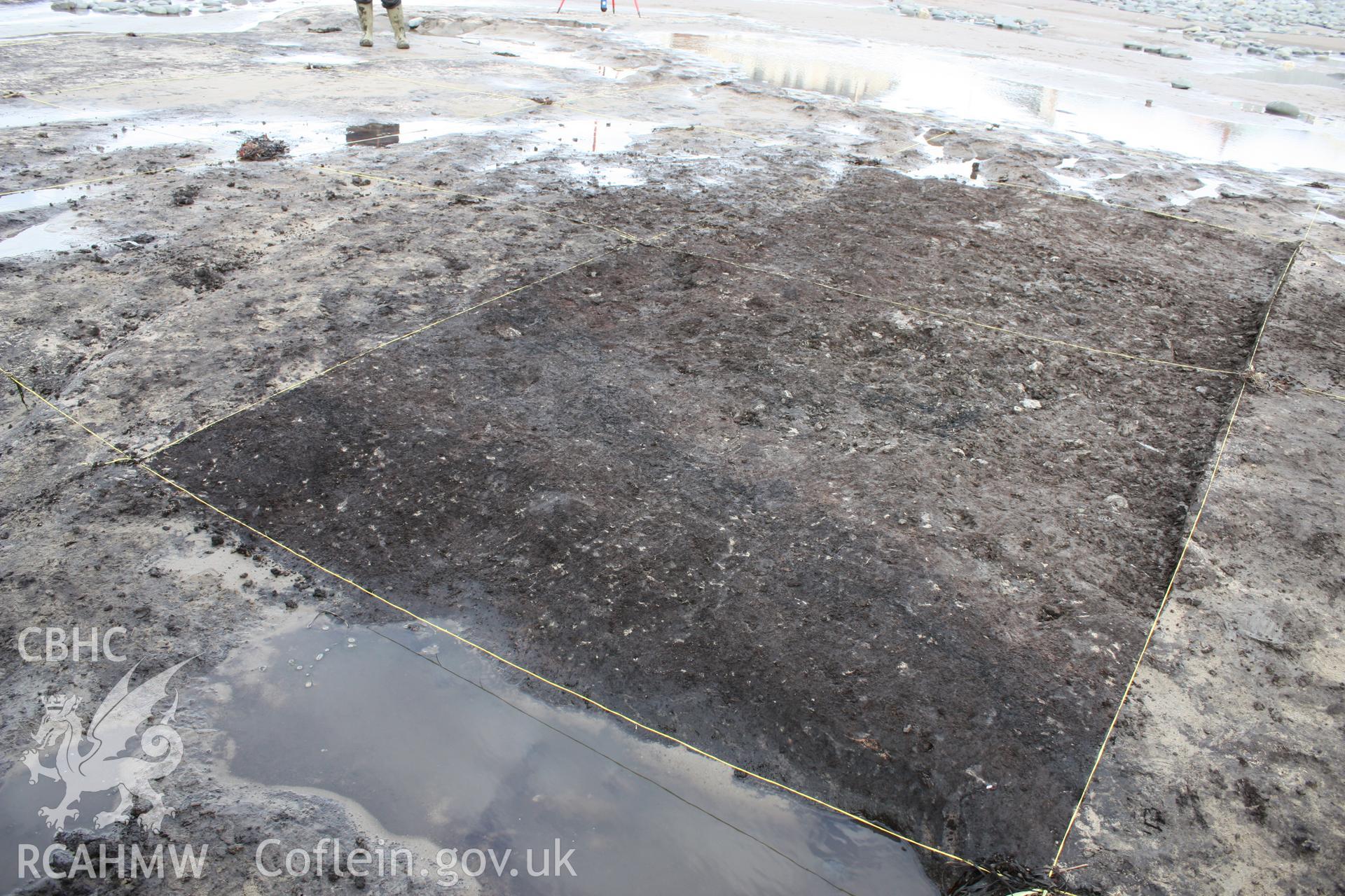 Borth submerged forest (between RNLI lifeboat station and upper Borth), looking east towards High Street and lifeboat station. Showing part of excavation area (excavated by Lampeter University), with evidence of burning