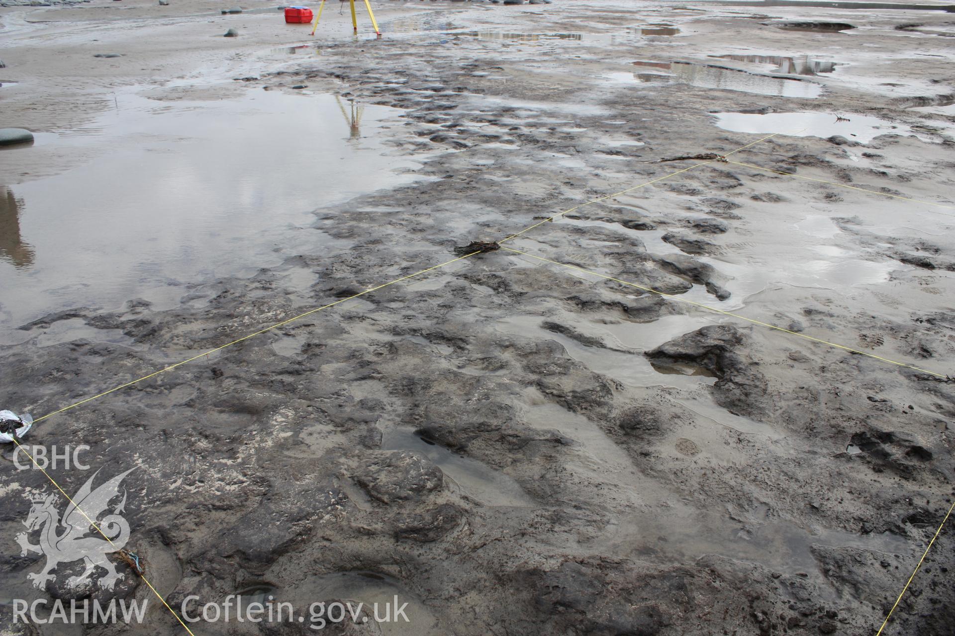 Borth submerged forest (between RNLI lifeboat station and upper Borth), looking southwest, showing poaching within peat deposit