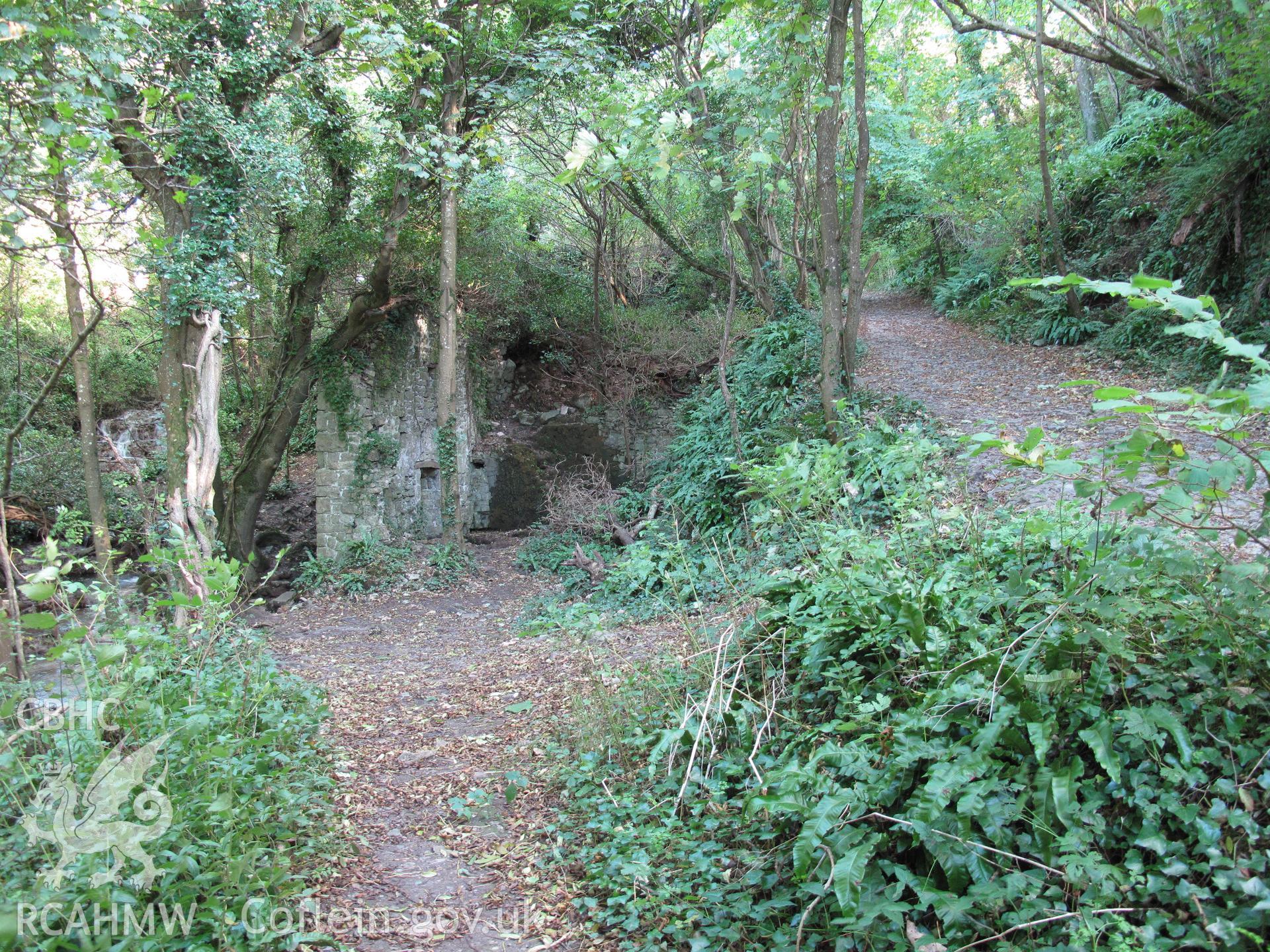 Blaen-y-cwm Corn Mill from the west, taken by Brian Malaws on 20 October 2010.
