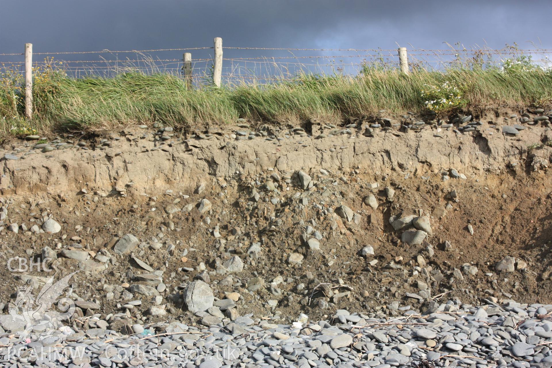 Cross-section of the stratigraphy of the soft cliffs which begin to rise just to the south of the site.