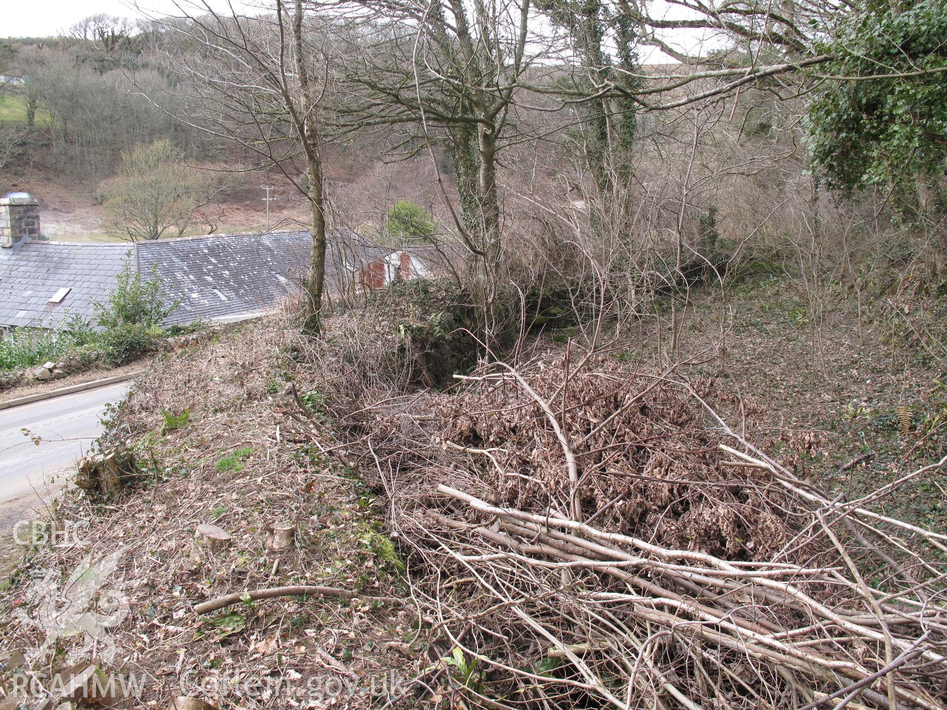 Millpond at Nanhoron Woollen Factory from the southeast, taken by Brian Malaws on 13 March 2010.